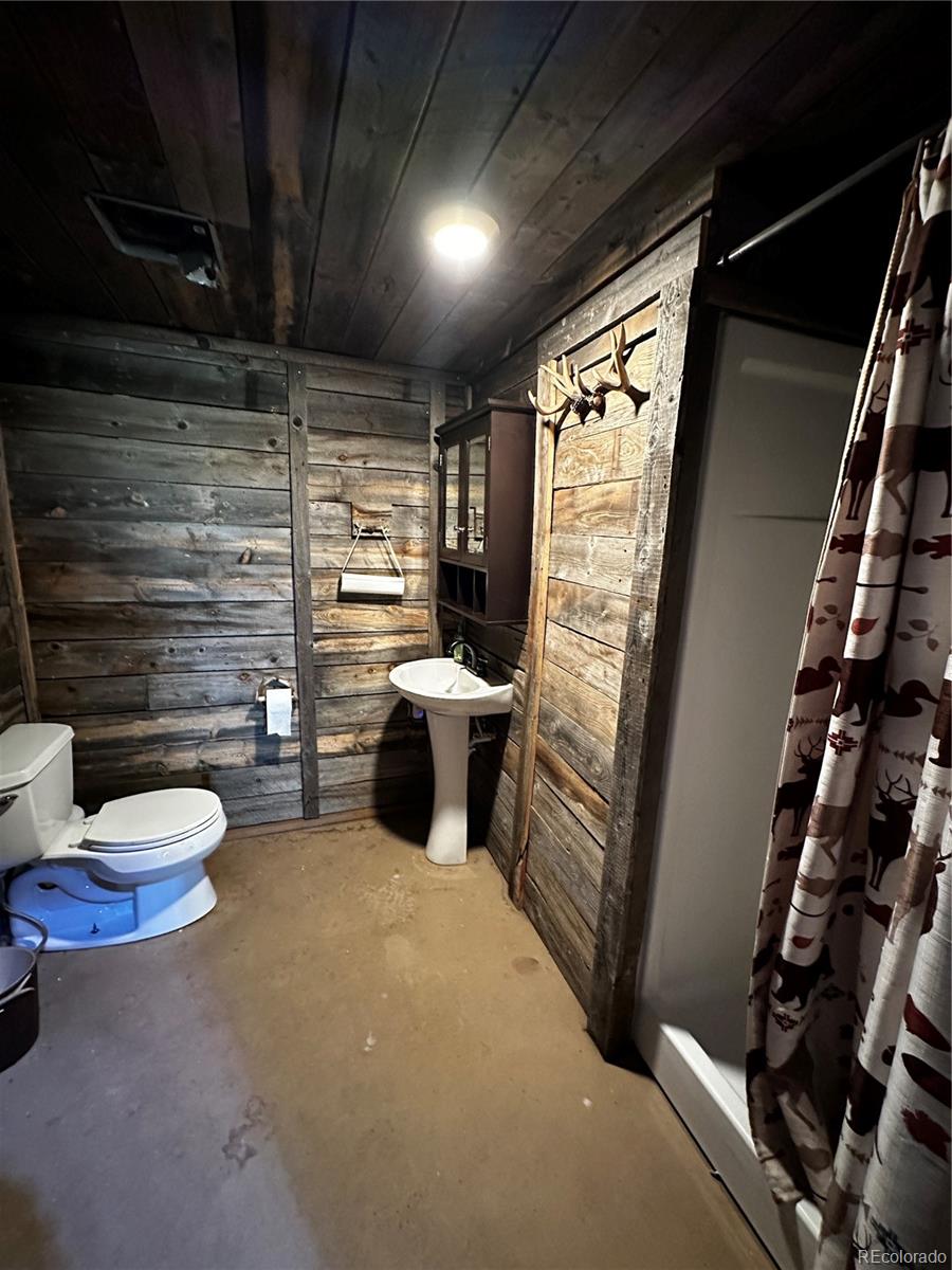 MLS Image #29 for 2104  sigler drive,fort garland, Colorado
