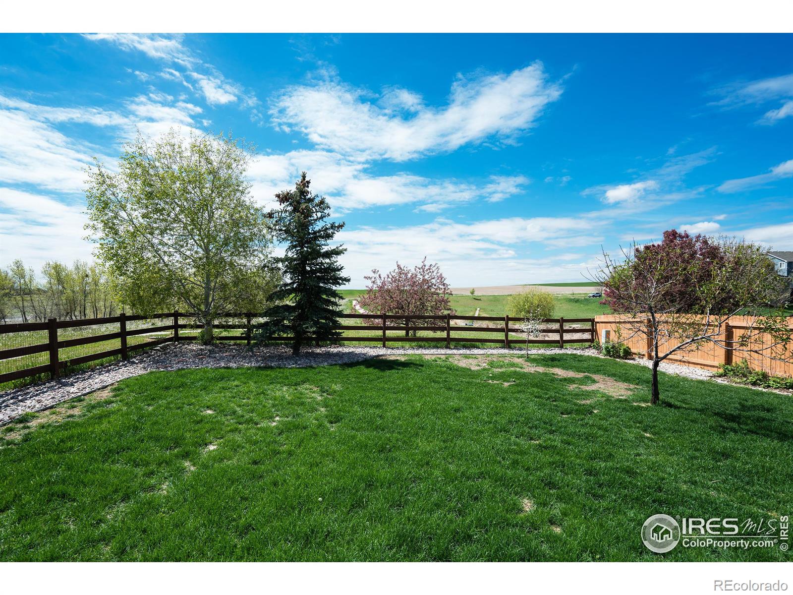 MLS Image #33 for 303  peyton drive,fort collins, Colorado