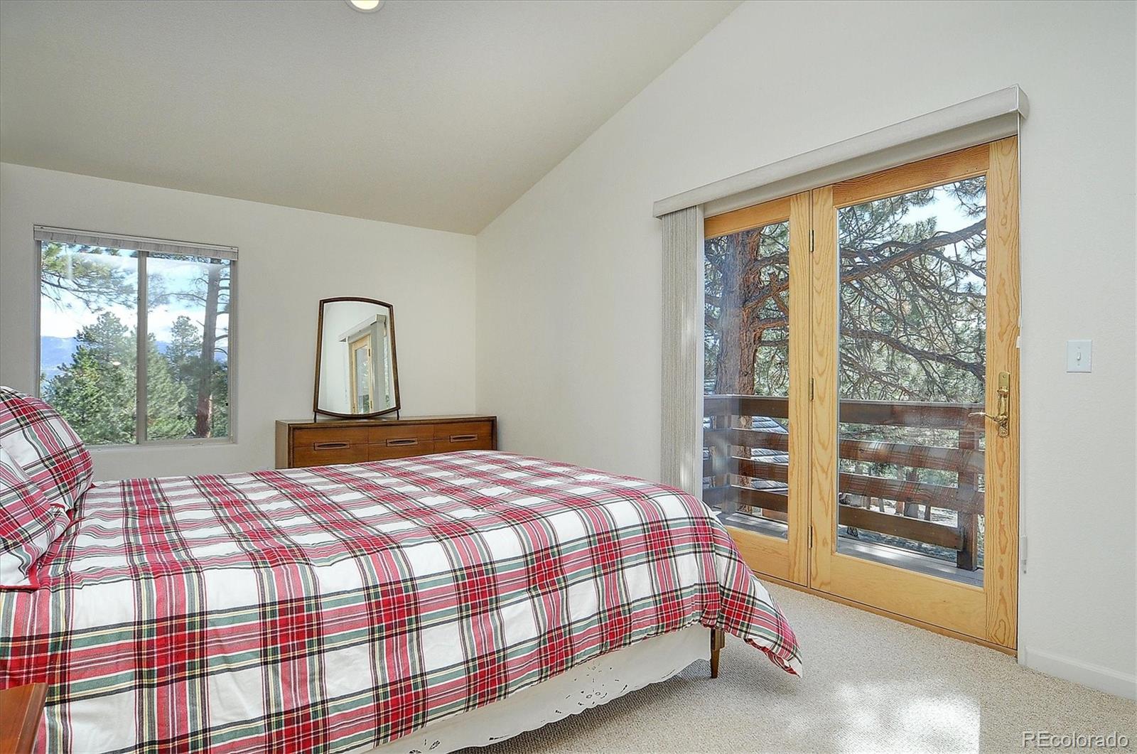 MLS Image #21 for 30477  timberline drive,buena vista, Colorado