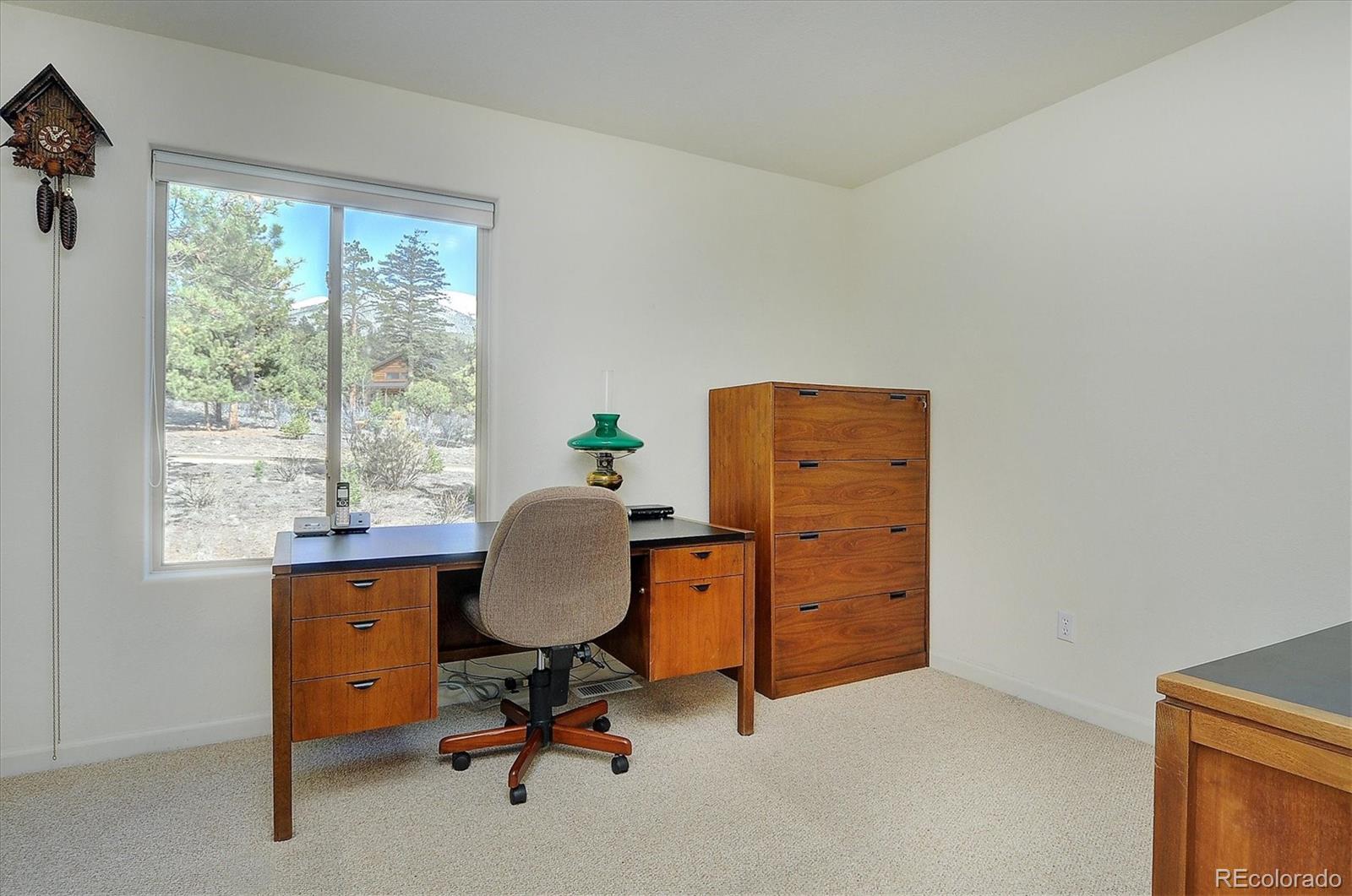 MLS Image #24 for 30477  timberline drive,buena vista, Colorado