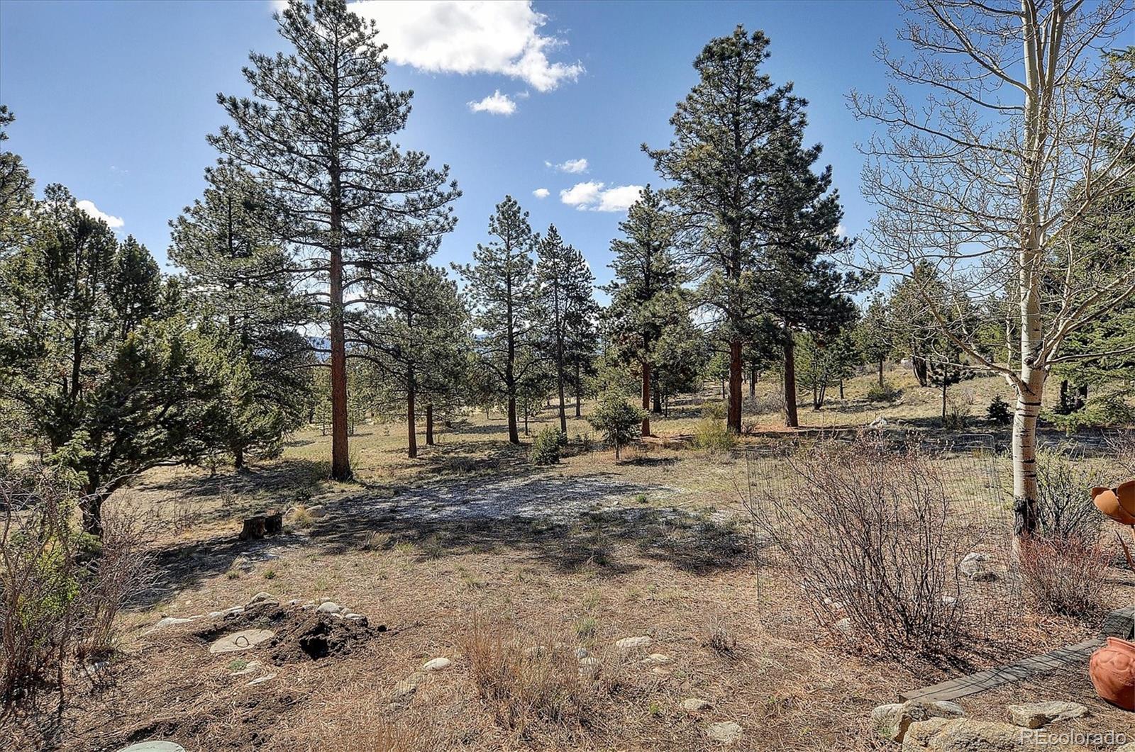 MLS Image #36 for 30477  timberline drive,buena vista, Colorado