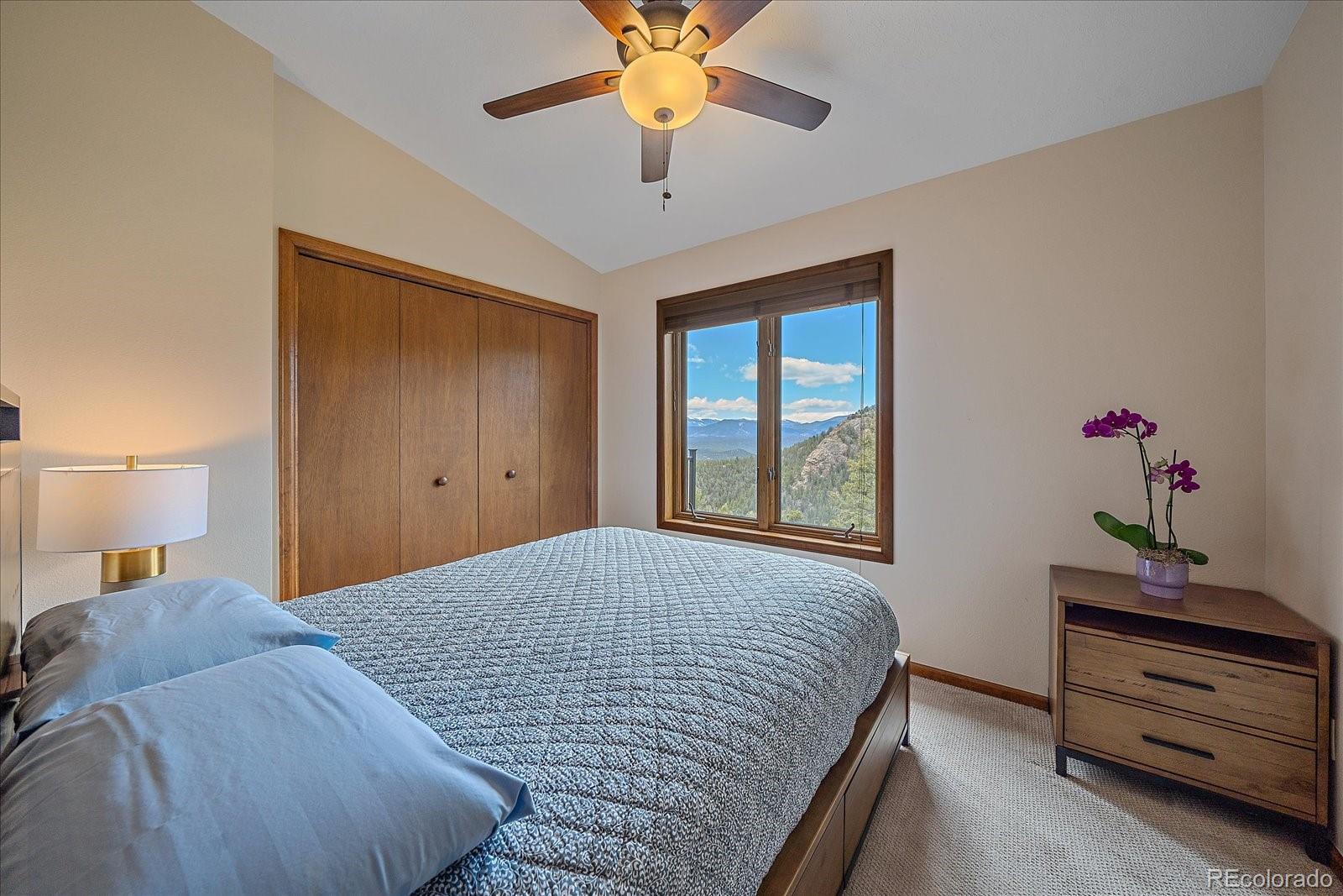 MLS Image #20 for 11401  marks drive,conifer, Colorado