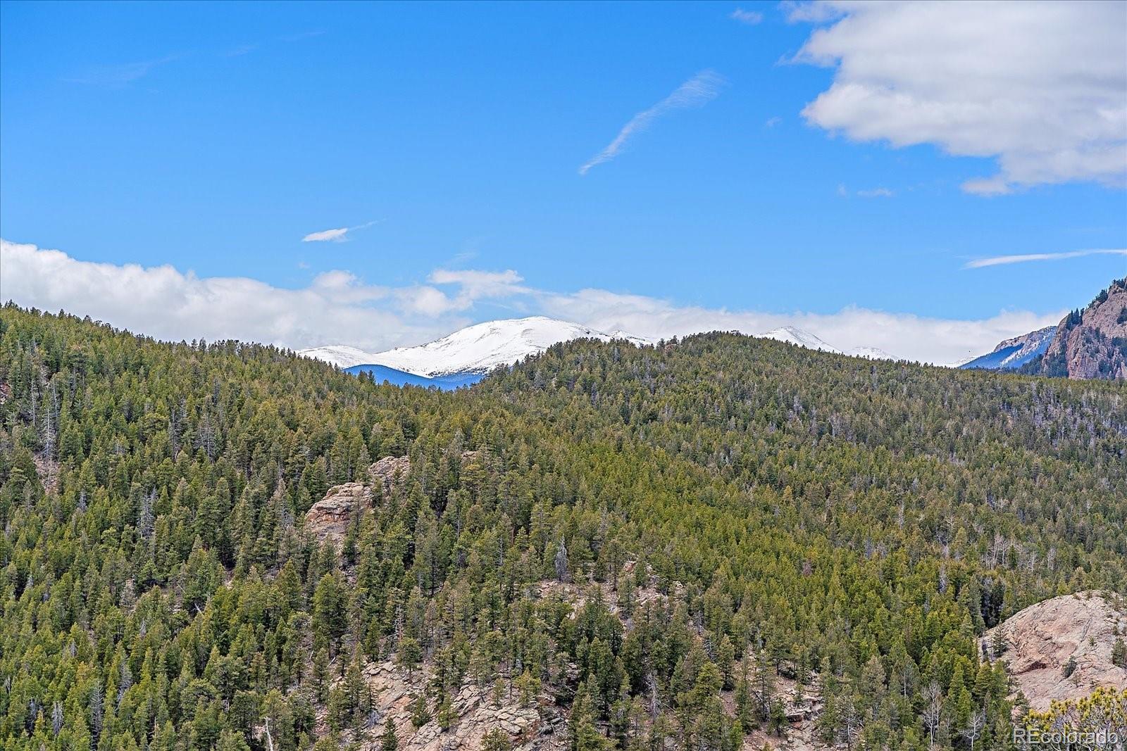 MLS Image #26 for 11401  marks drive,conifer, Colorado