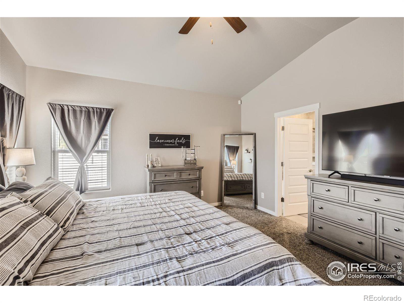 MLS Image #10 for 983  mt andrew drive,severance, Colorado