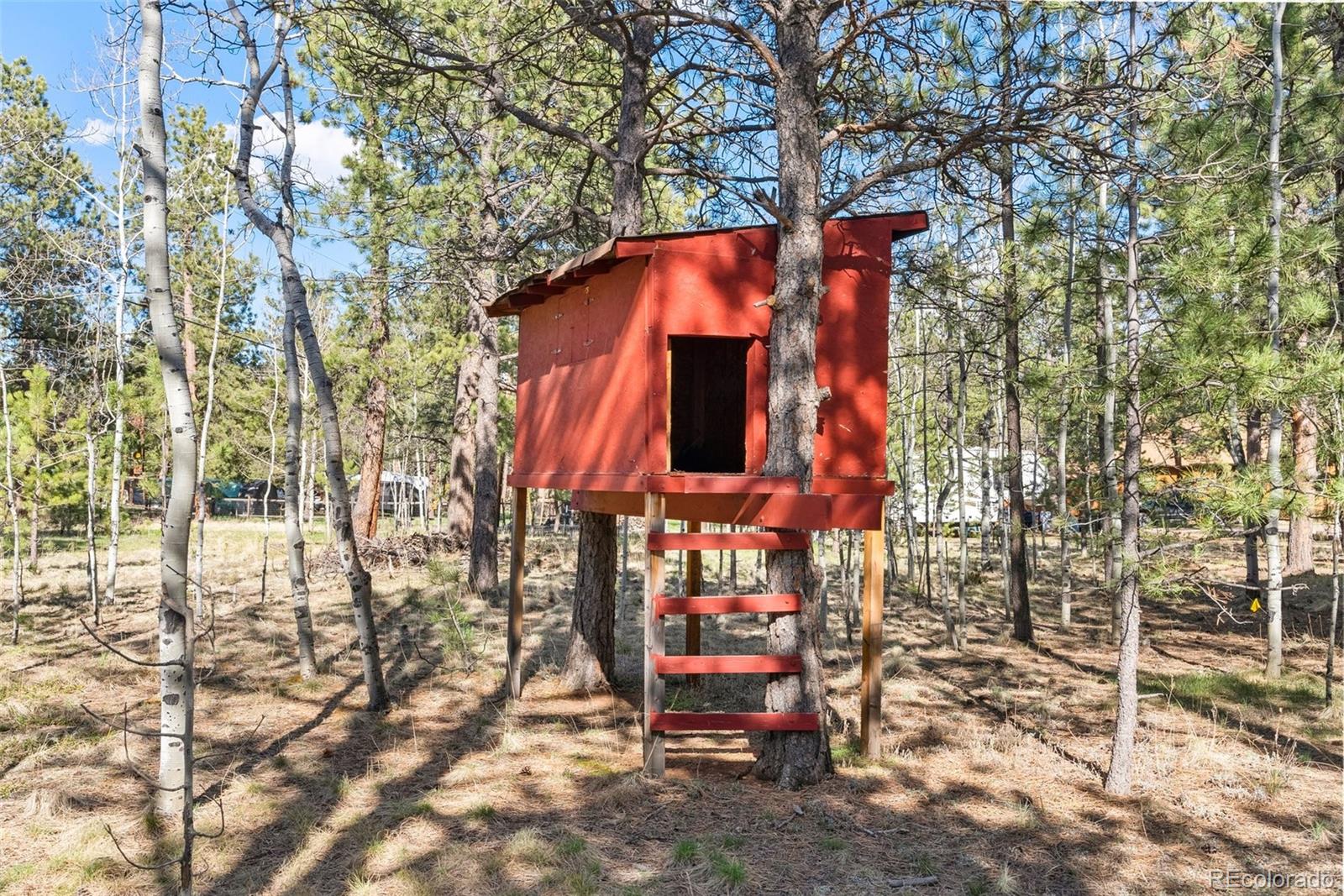 MLS Image #39 for 63  gunsmoke drive,bailey, Colorado