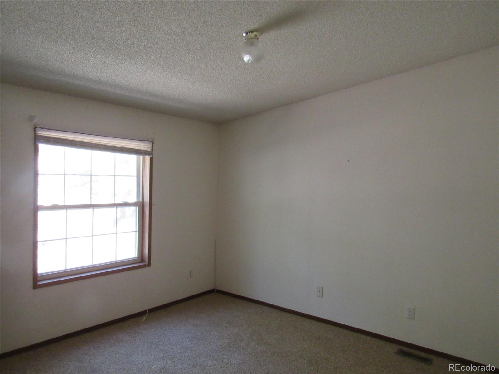 MLS Image #10 for 1470  arapahoe drive,florissant, Colorado
