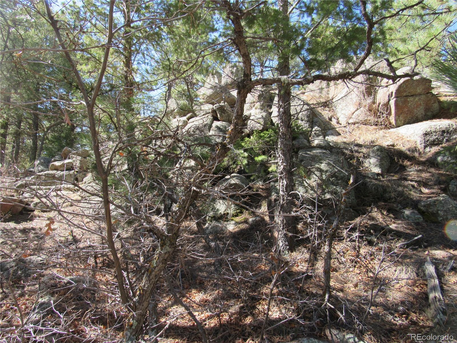 MLS Image #38 for 1470  arapahoe drive,florissant, Colorado