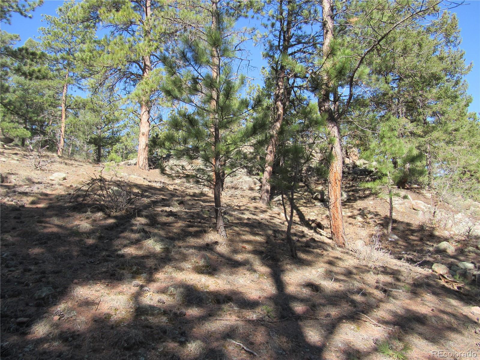 MLS Image #39 for 1470  arapahoe drive,florissant, Colorado