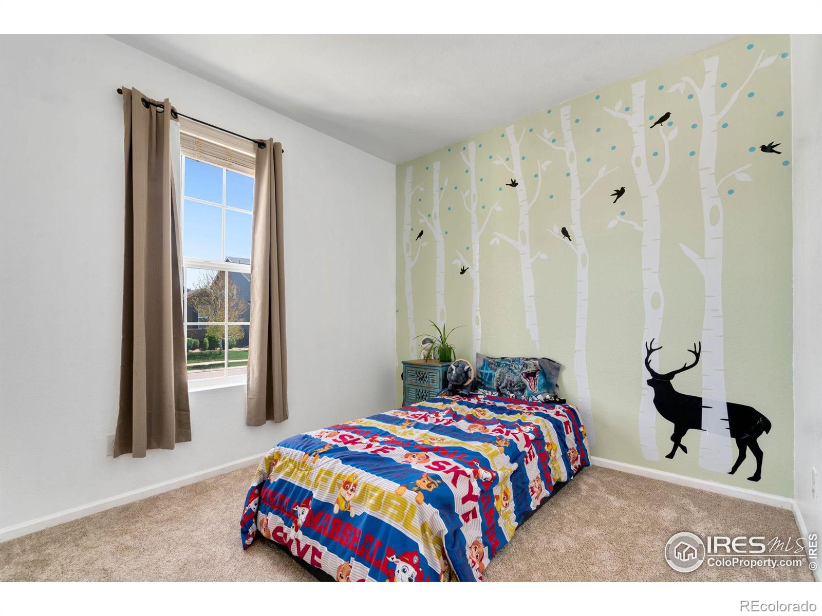 MLS Image #19 for 3455  raintree lane,dacono, Colorado