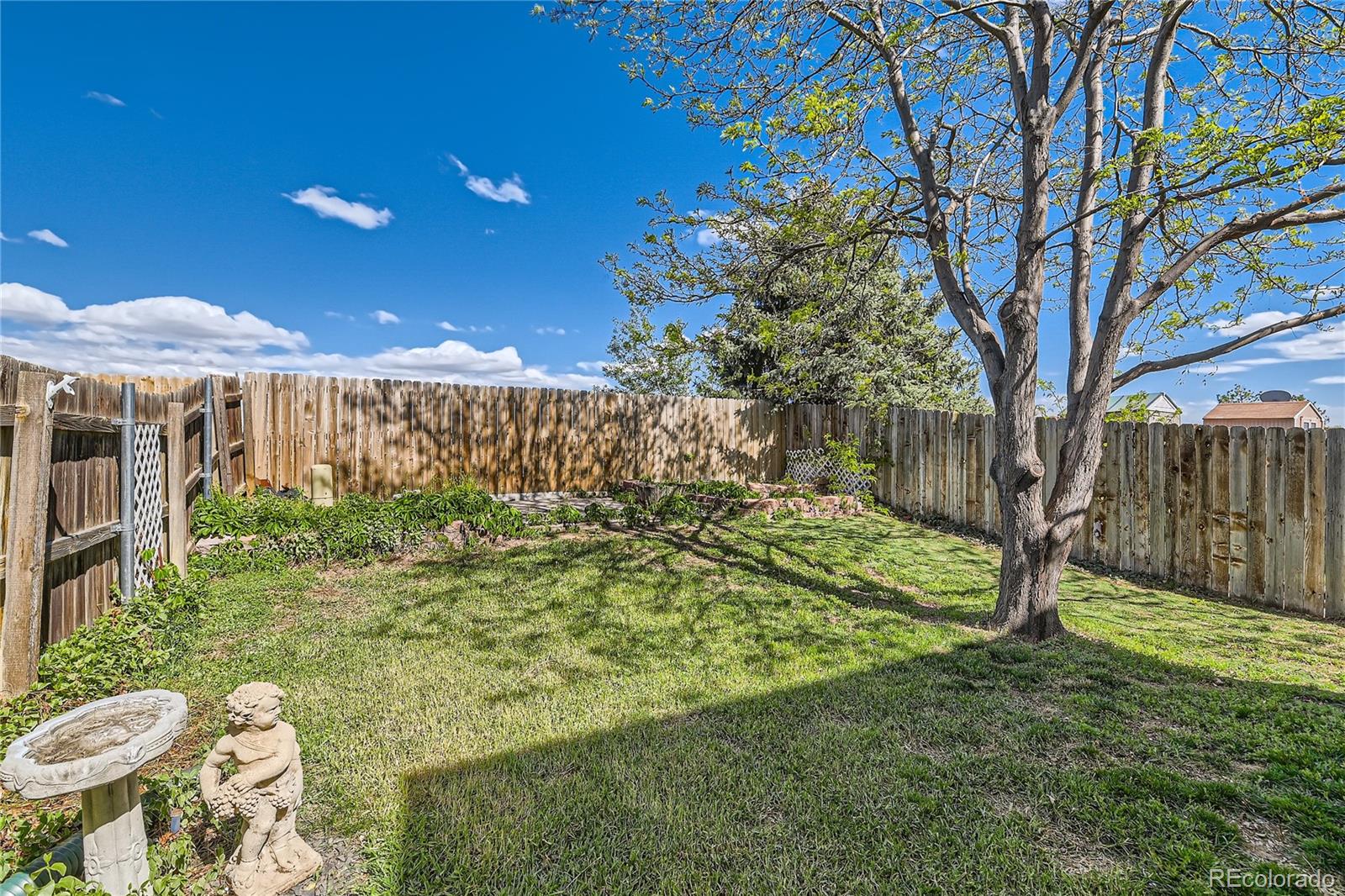 MLS Image #21 for 12572  forest drive,thornton, Colorado