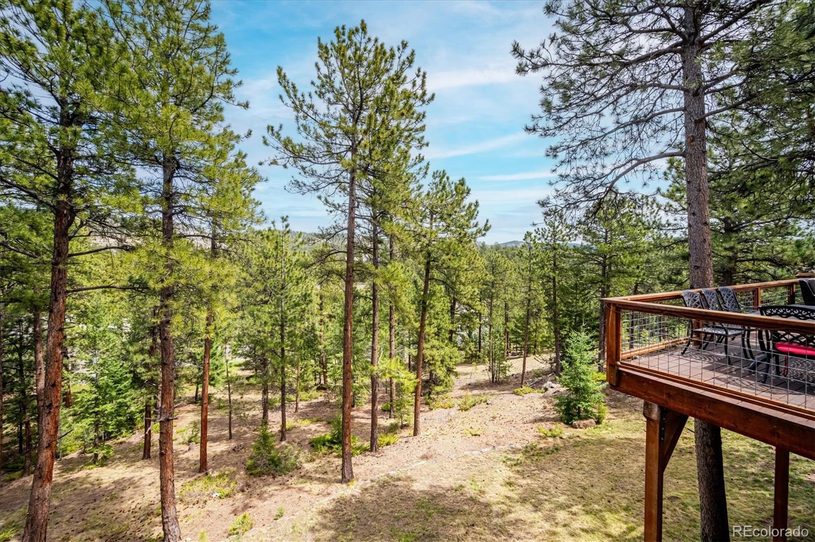 MLS Image #19 for 1784  prima lane,evergreen, Colorado