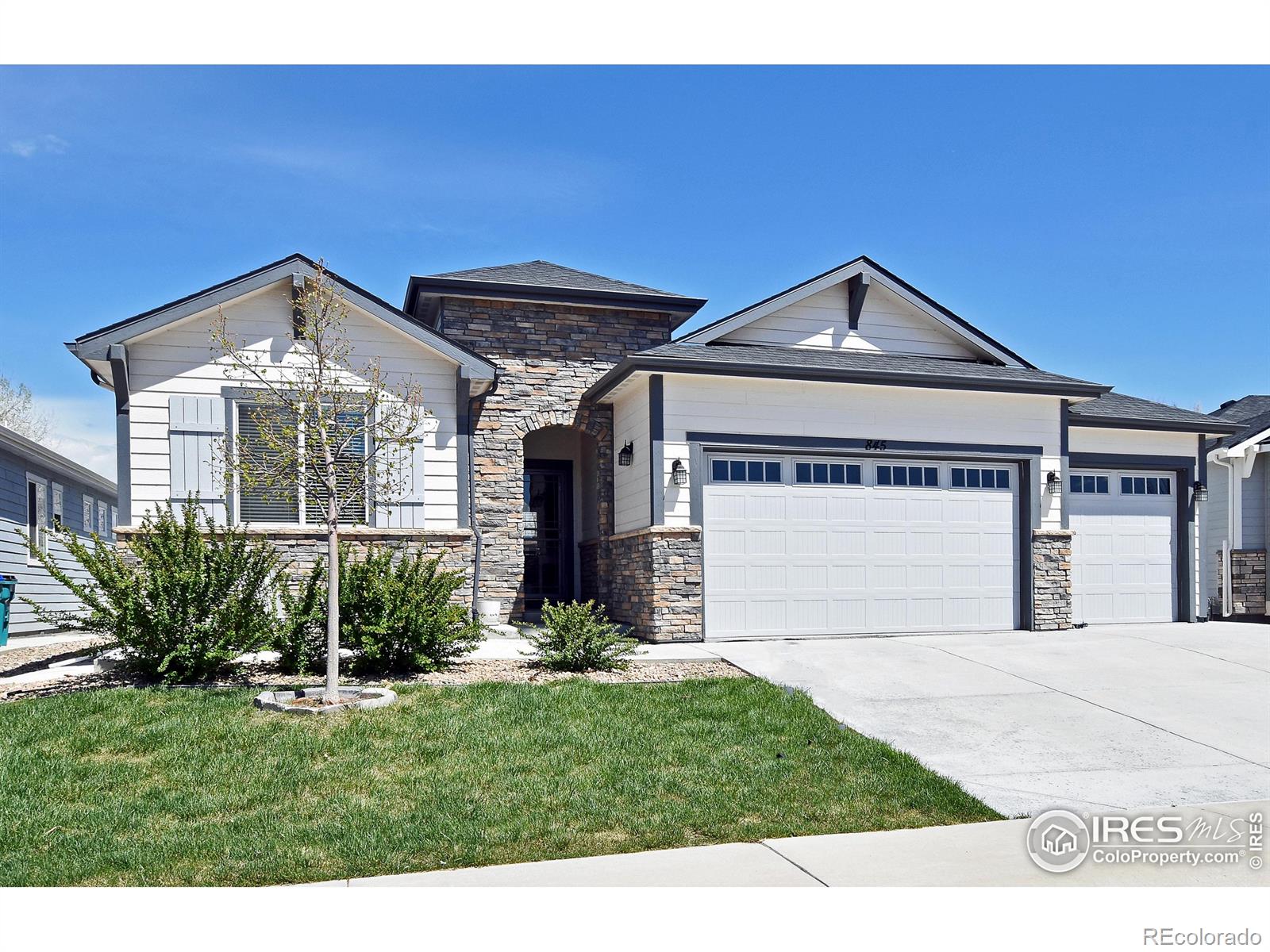 Report Image for 845  Shirttail Peak Drive,Windsor, Colorado