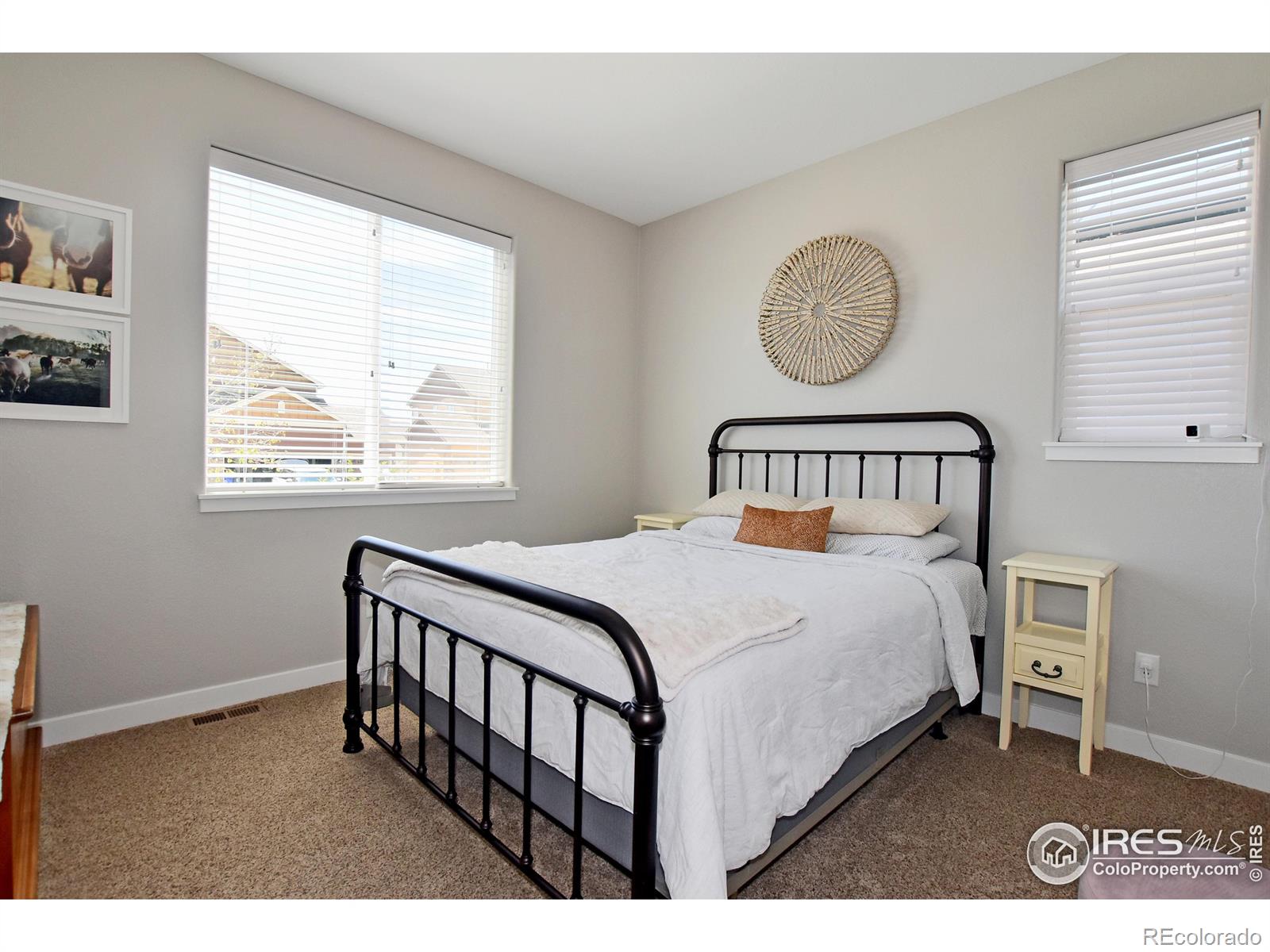 MLS Image #24 for 845  shirttail peak drive,windsor, Colorado