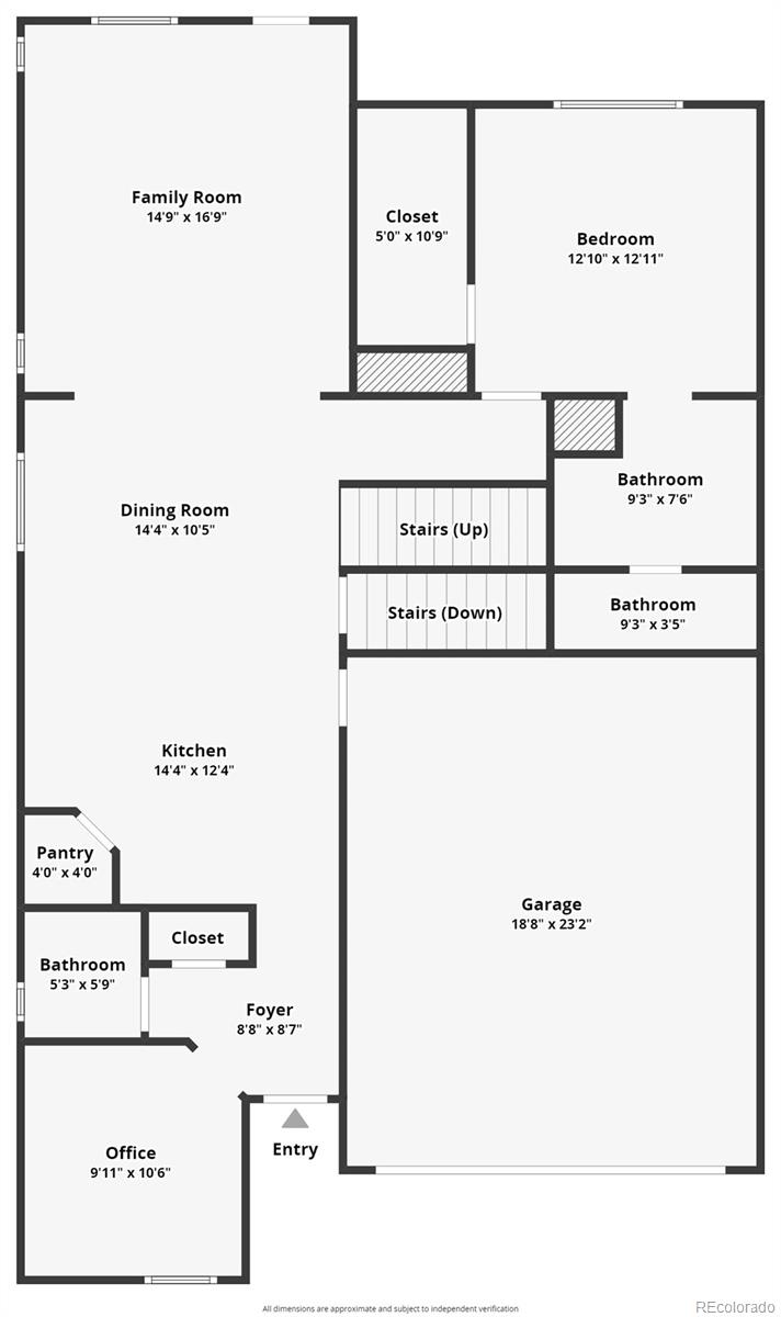 MLS Image #39 for 2504  garganey drive,castle rock, Colorado