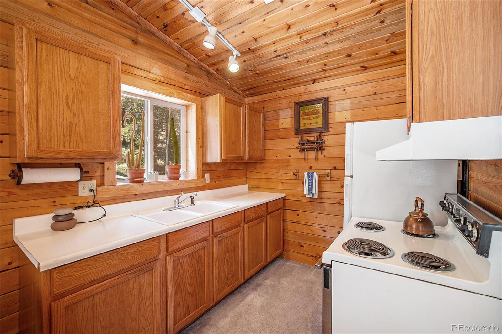 MLS Image #17 for 20  singer drive,bailey, Colorado