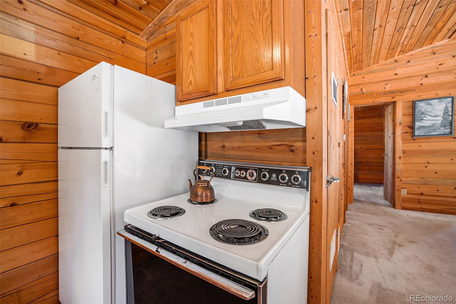 MLS Image #18 for 20  singer drive,bailey, Colorado