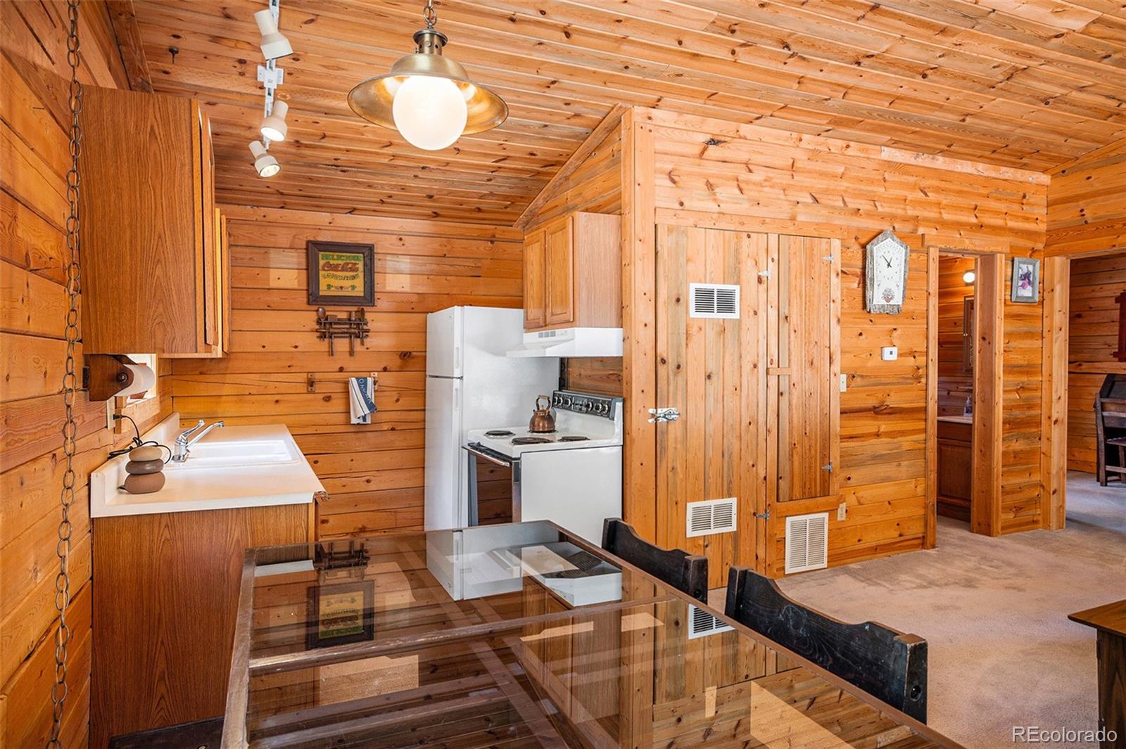 MLS Image #19 for 20  singer drive,bailey, Colorado