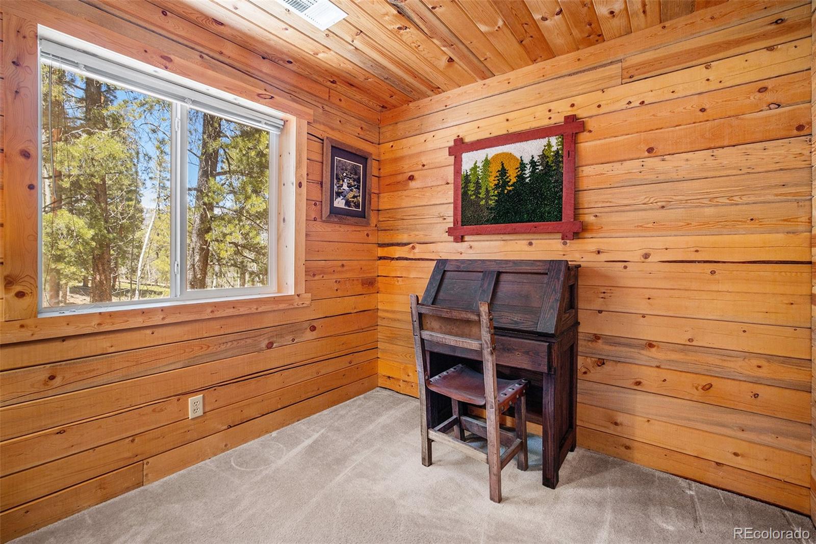 MLS Image #25 for 20  singer drive,bailey, Colorado