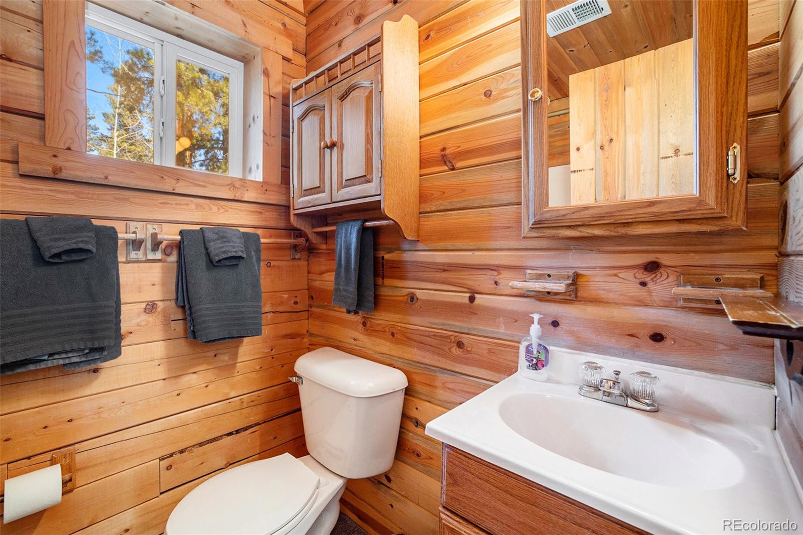 MLS Image #26 for 20  singer drive,bailey, Colorado