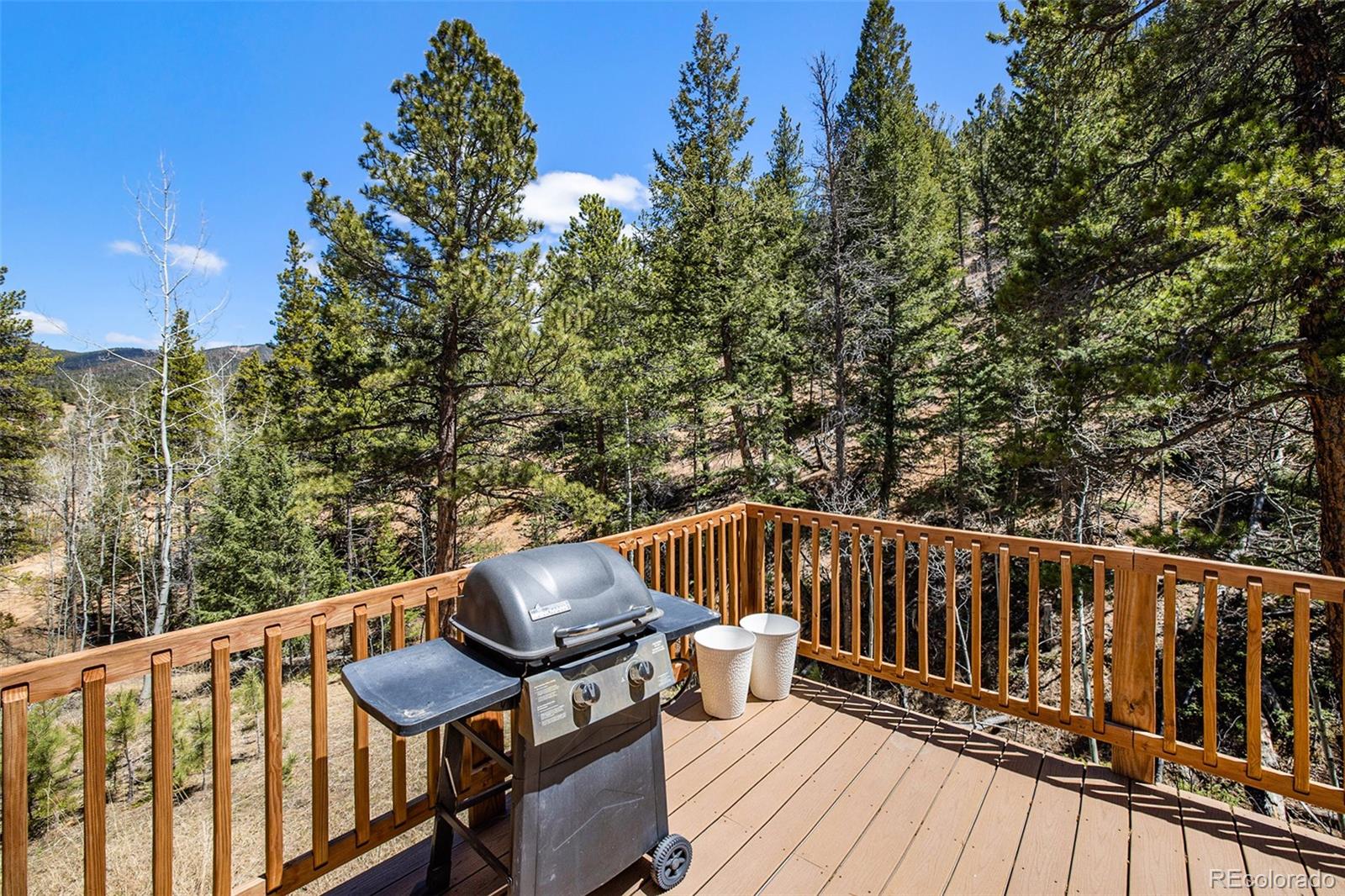 MLS Image #28 for 20  singer drive,bailey, Colorado