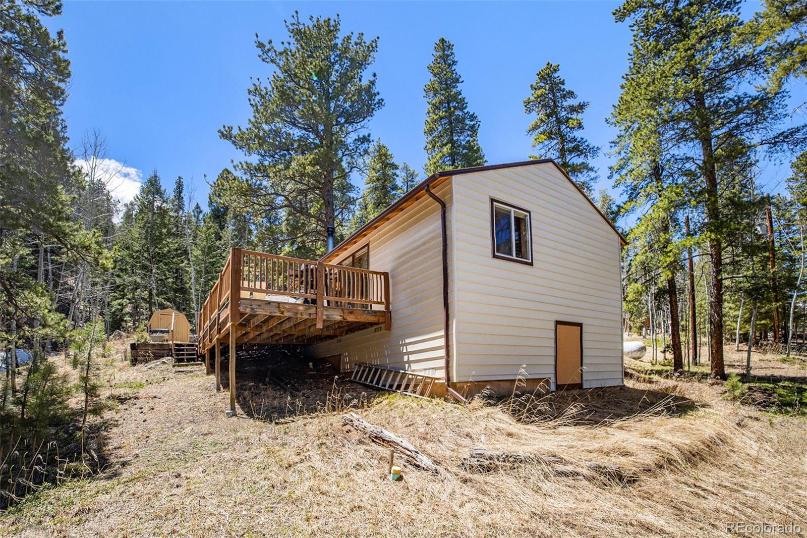 MLS Image #29 for 20  singer drive,bailey, Colorado