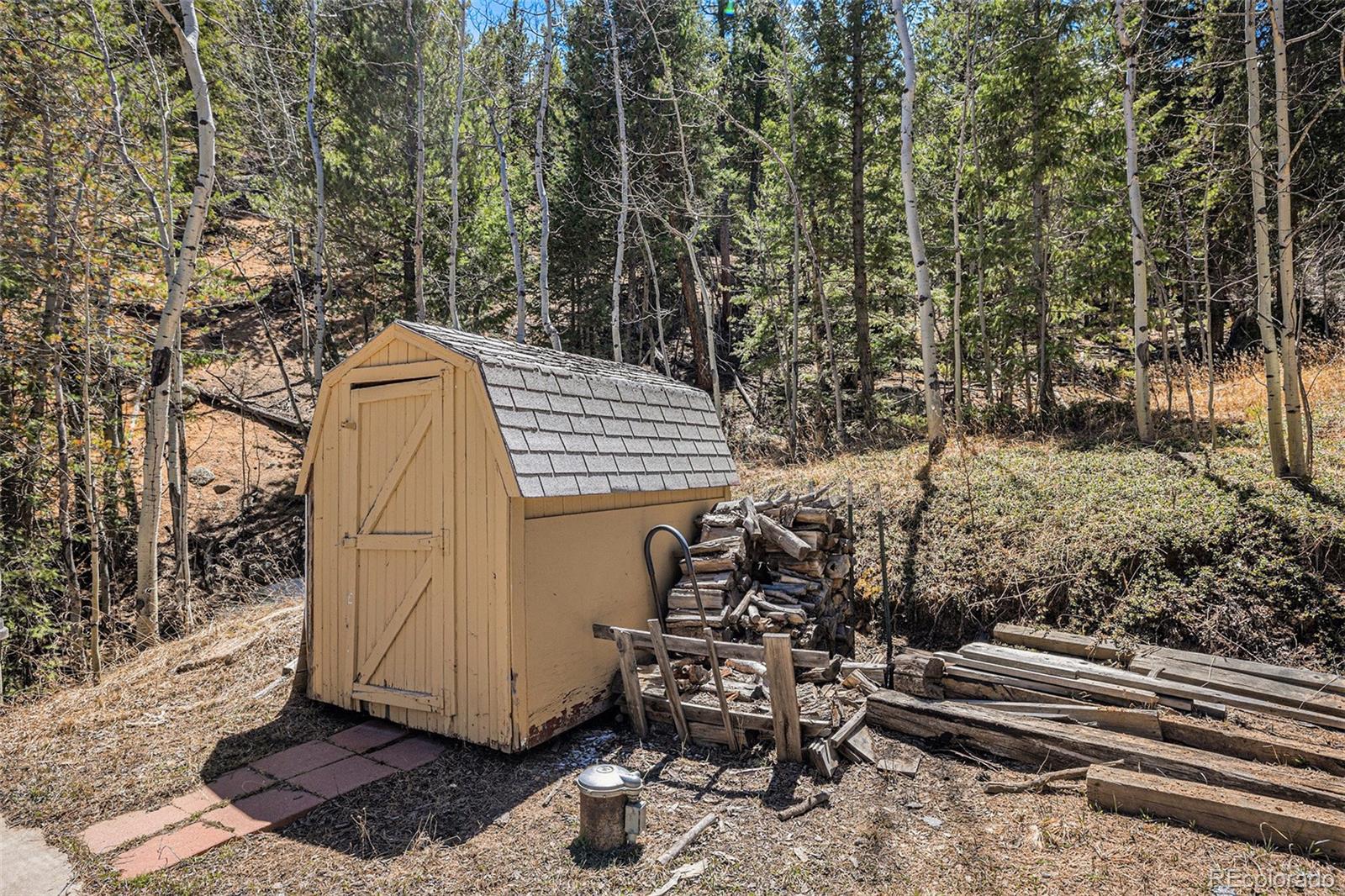 MLS Image #33 for 20  singer drive,bailey, Colorado