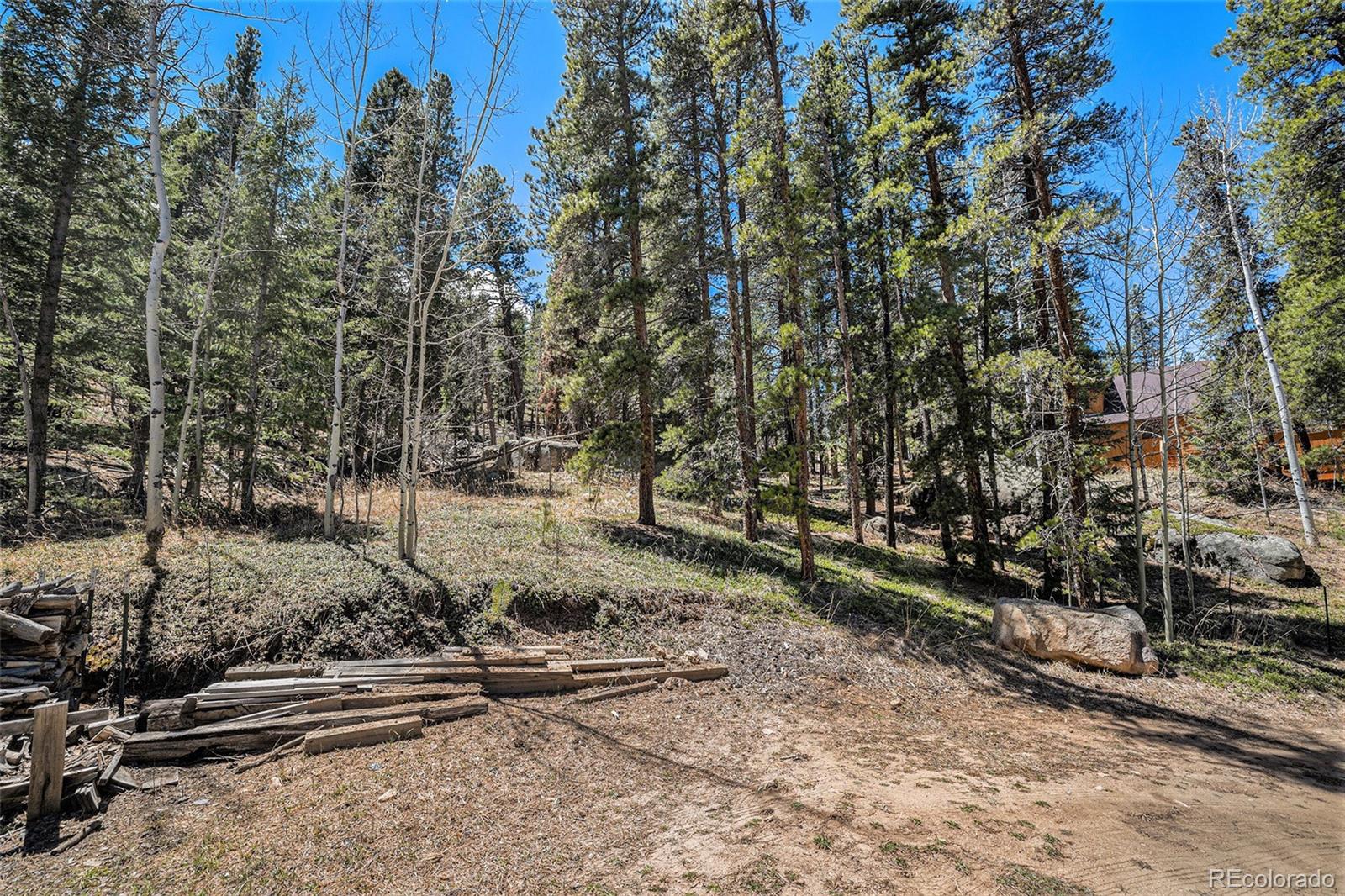 MLS Image #35 for 20  singer drive,bailey, Colorado