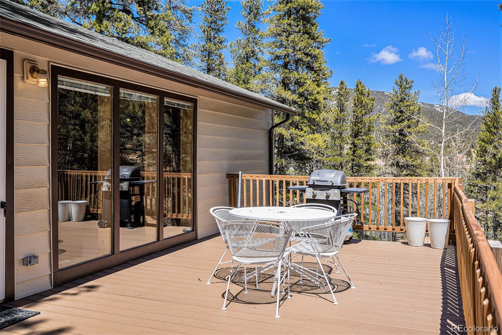 MLS Image #5 for 20  singer drive,bailey, Colorado