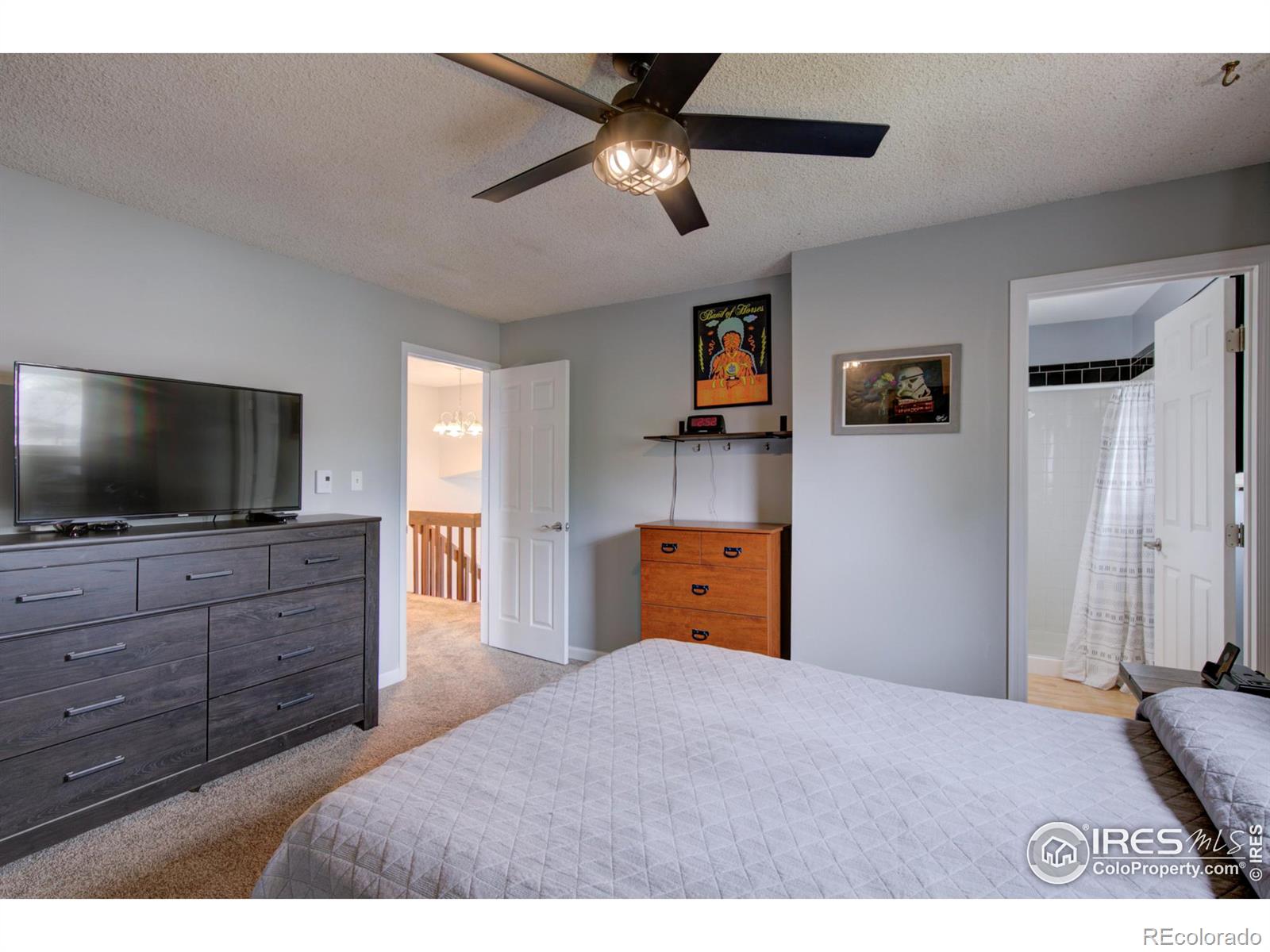 MLS Image #13 for 733 s terry street,longmont, Colorado