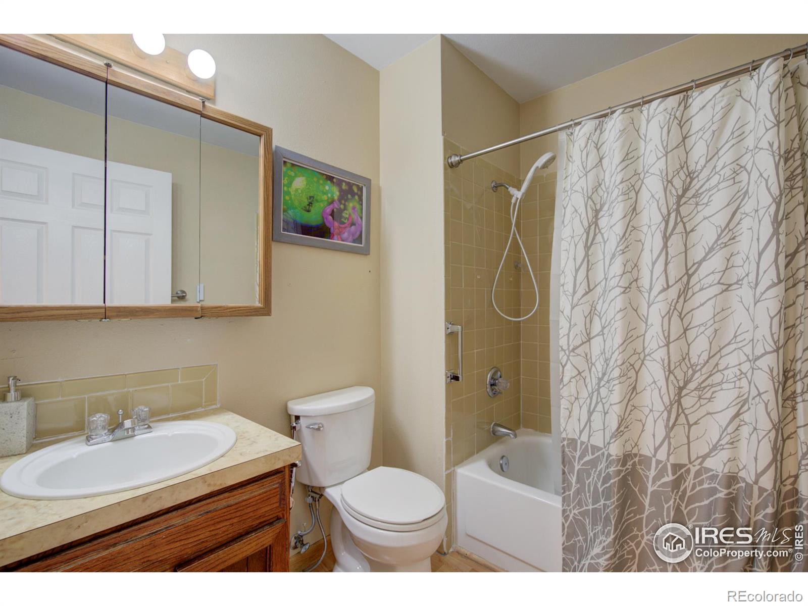 MLS Image #17 for 733 s terry street,longmont, Colorado