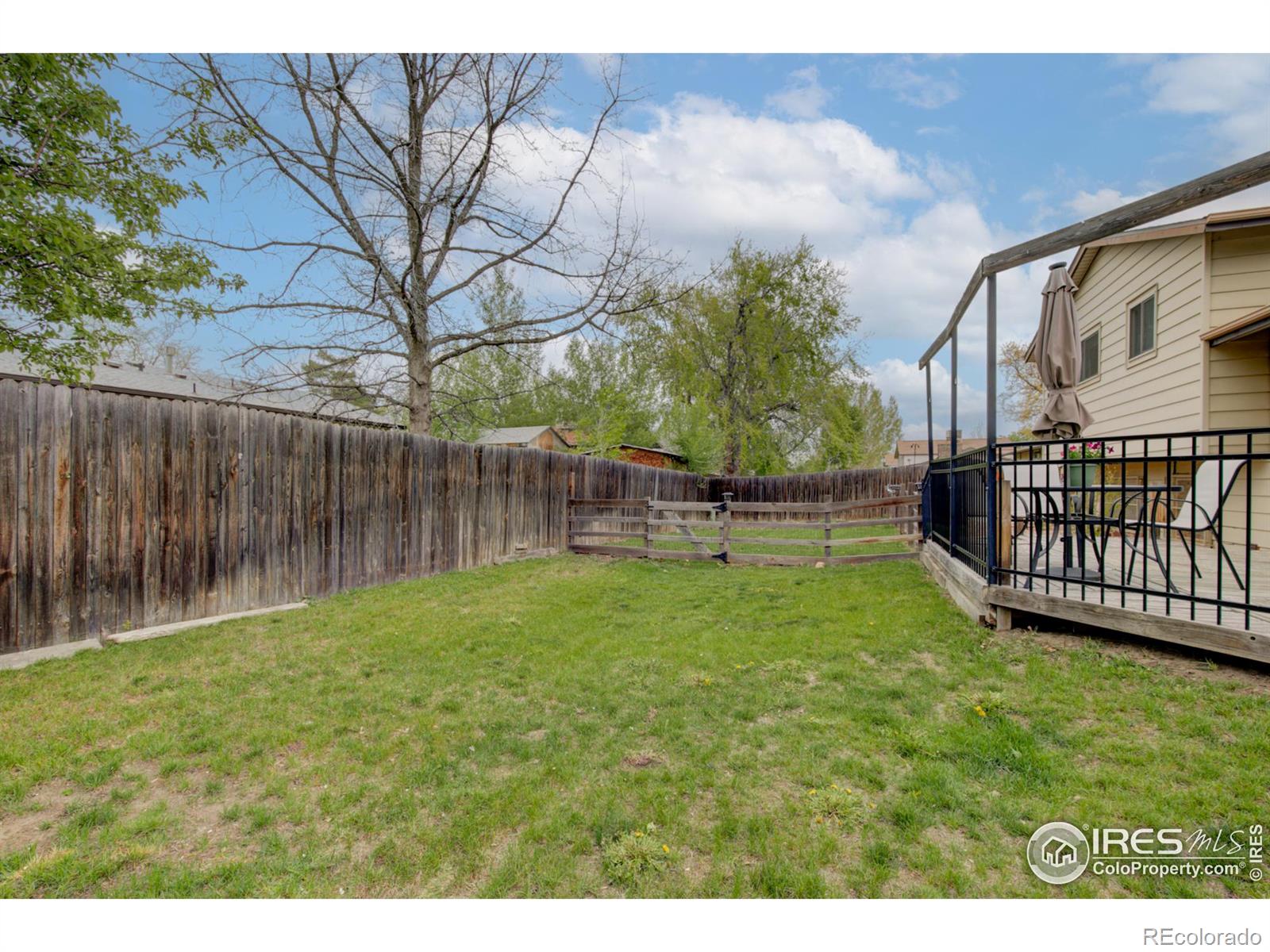 MLS Image #20 for 733 s terry street,longmont, Colorado