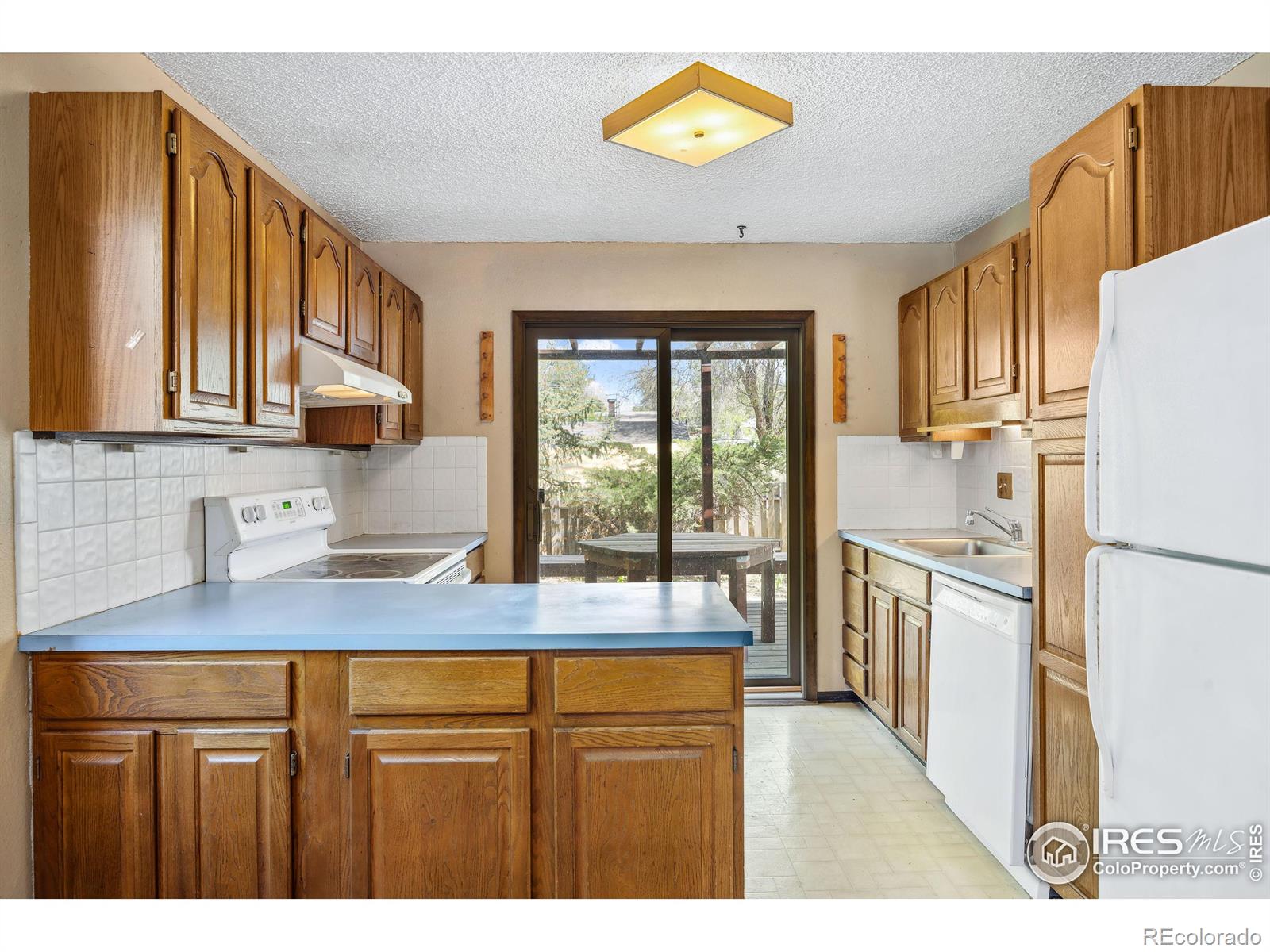 MLS Image #11 for 816  rees court,longmont, Colorado