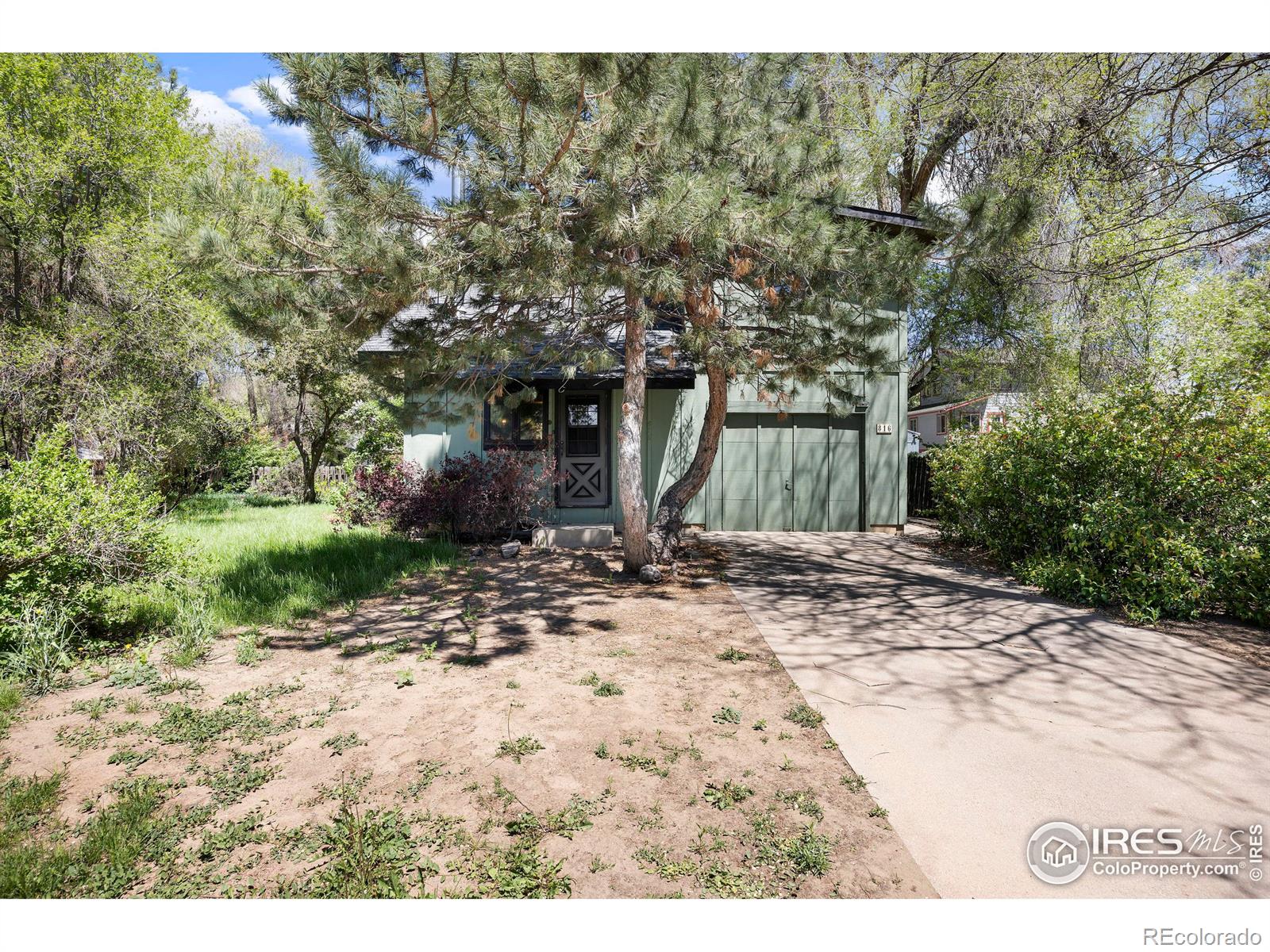 MLS Image #2 for 816  rees court,longmont, Colorado