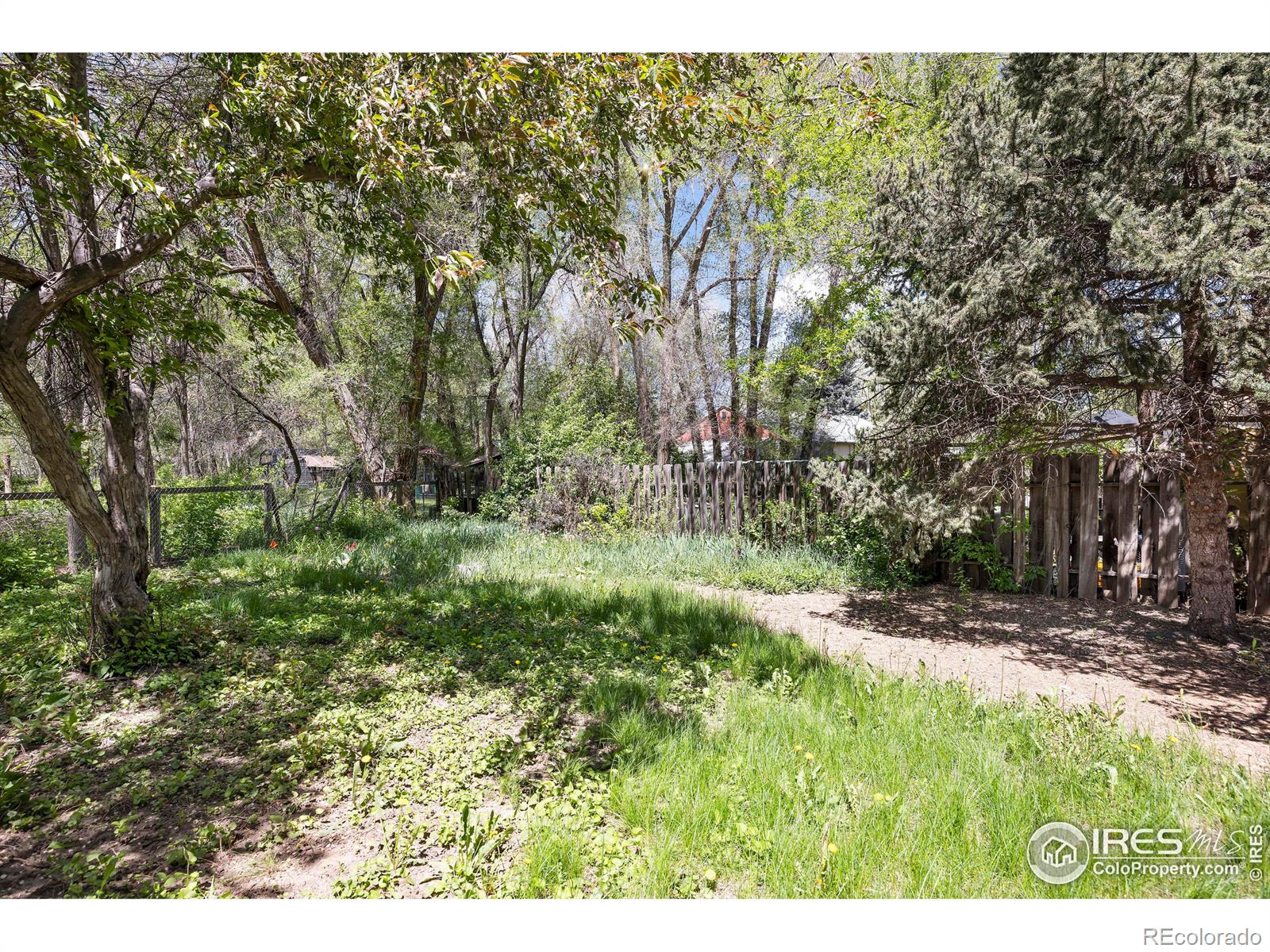 MLS Image #26 for 816  rees court,longmont, Colorado