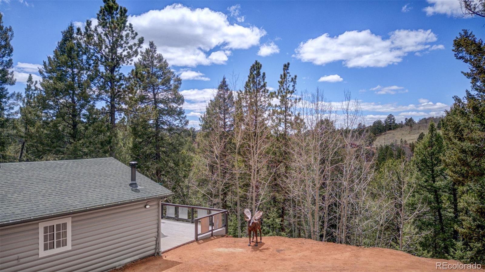 MLS Image #14 for 295  valley road,divide, Colorado