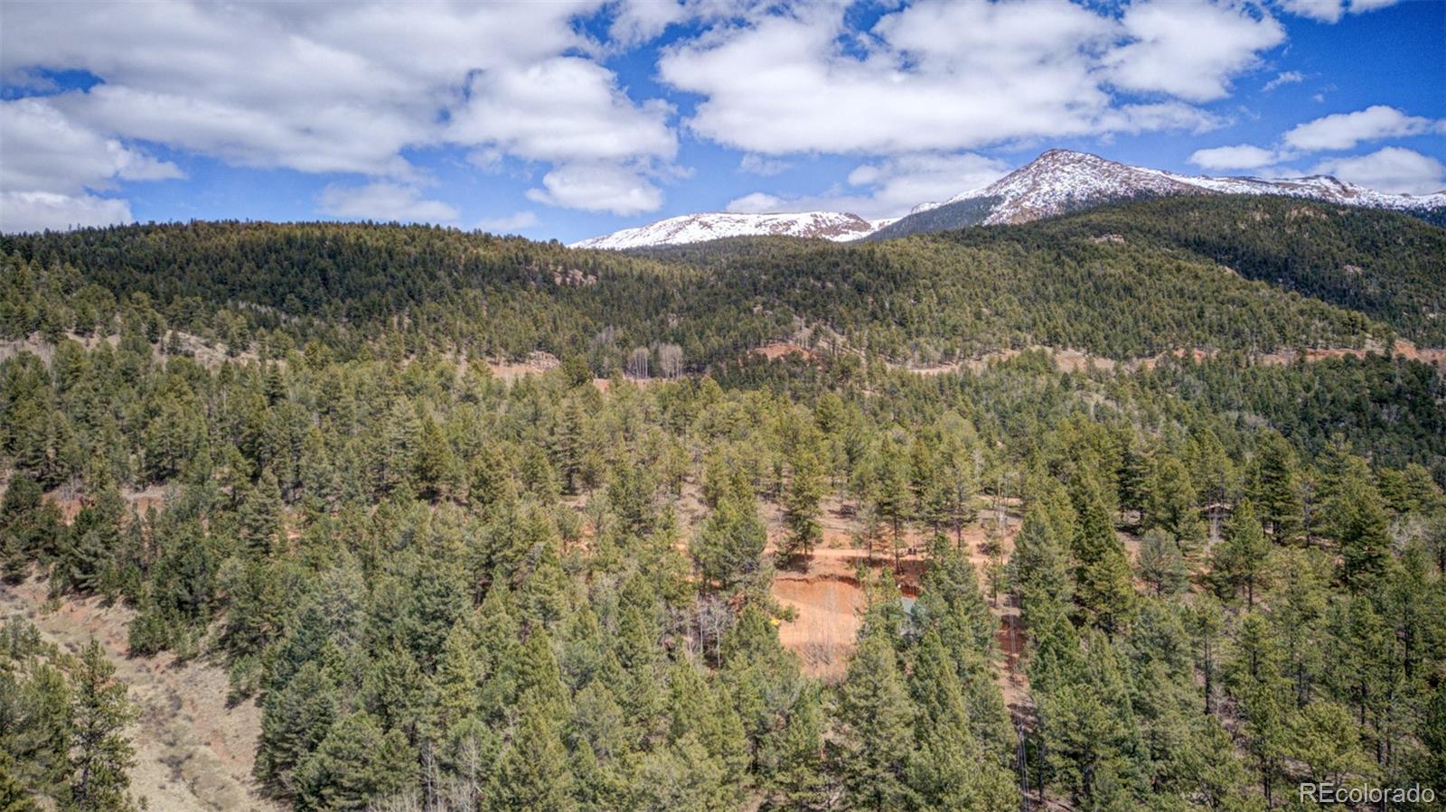 MLS Image #17 for 295  valley road,divide, Colorado