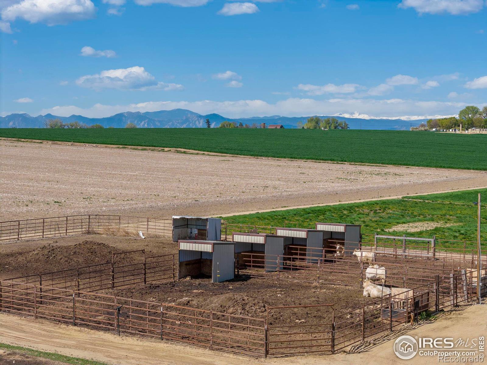 MLS Image #26 for 606  county road 20 1/2 ,longmont, Colorado