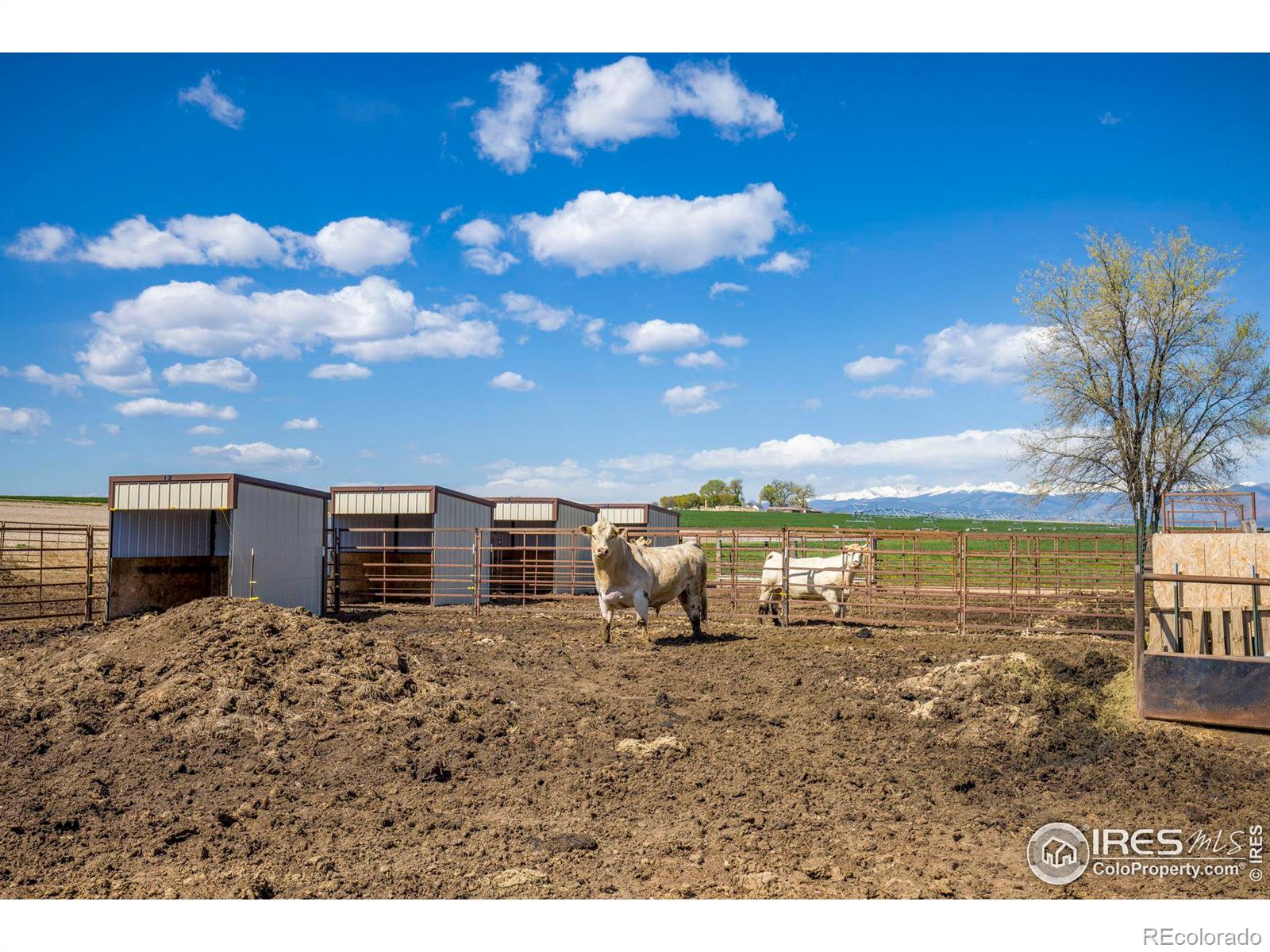 MLS Image #27 for 606  county road 20 1/2 ,longmont, Colorado