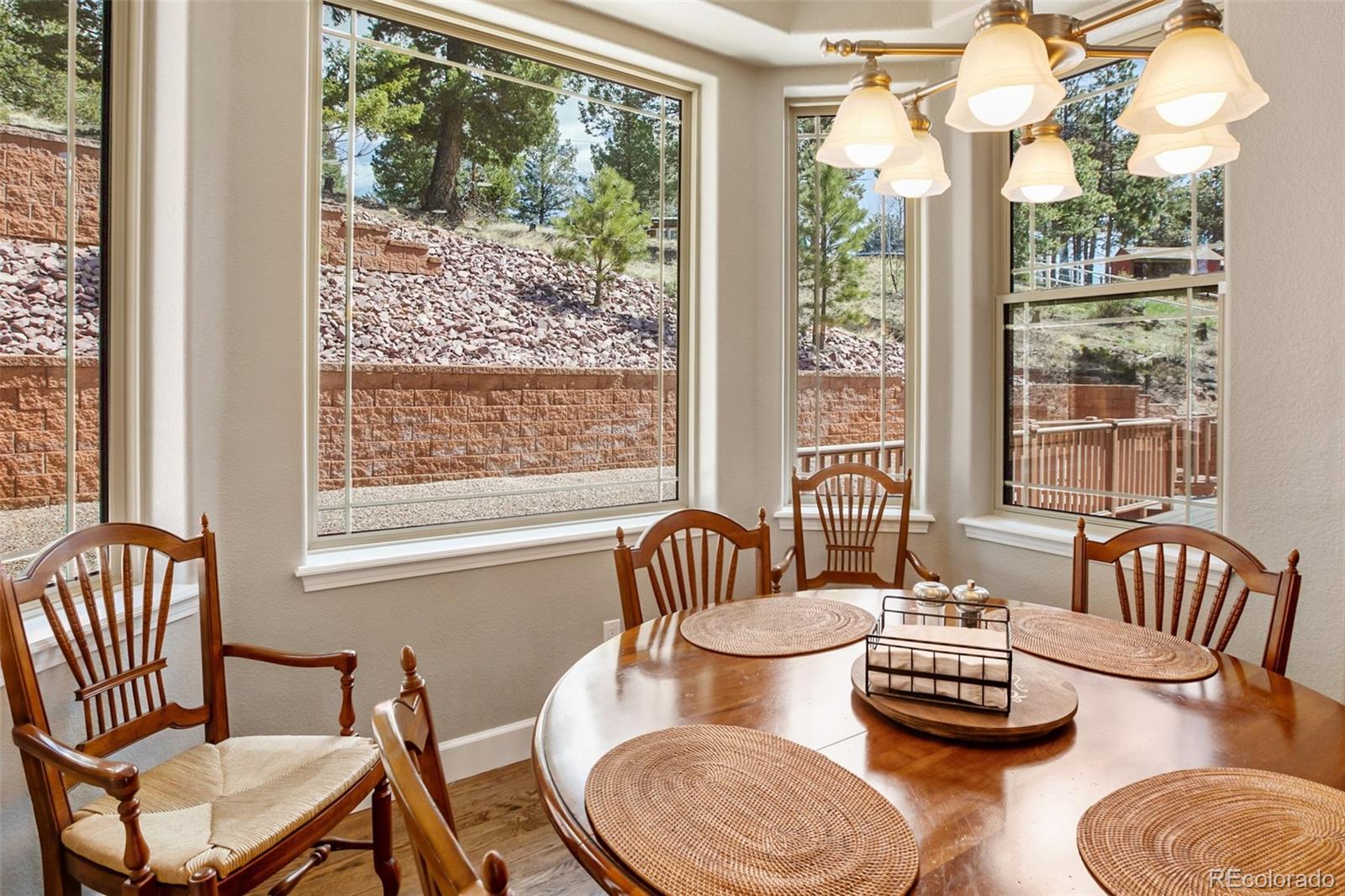 MLS Image #16 for 432  gray horse circle,woodland park, Colorado