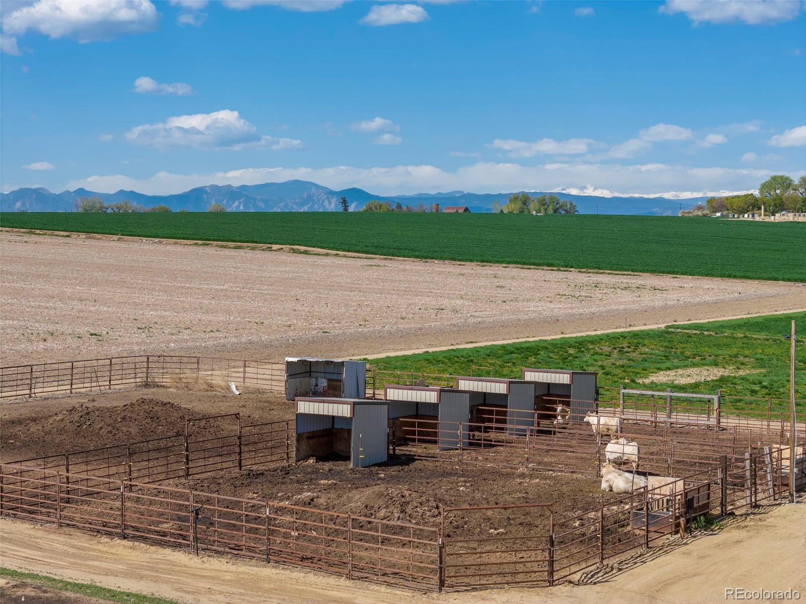 MLS Image #30 for 606  county road 20 1/2 ,longmont, Colorado
