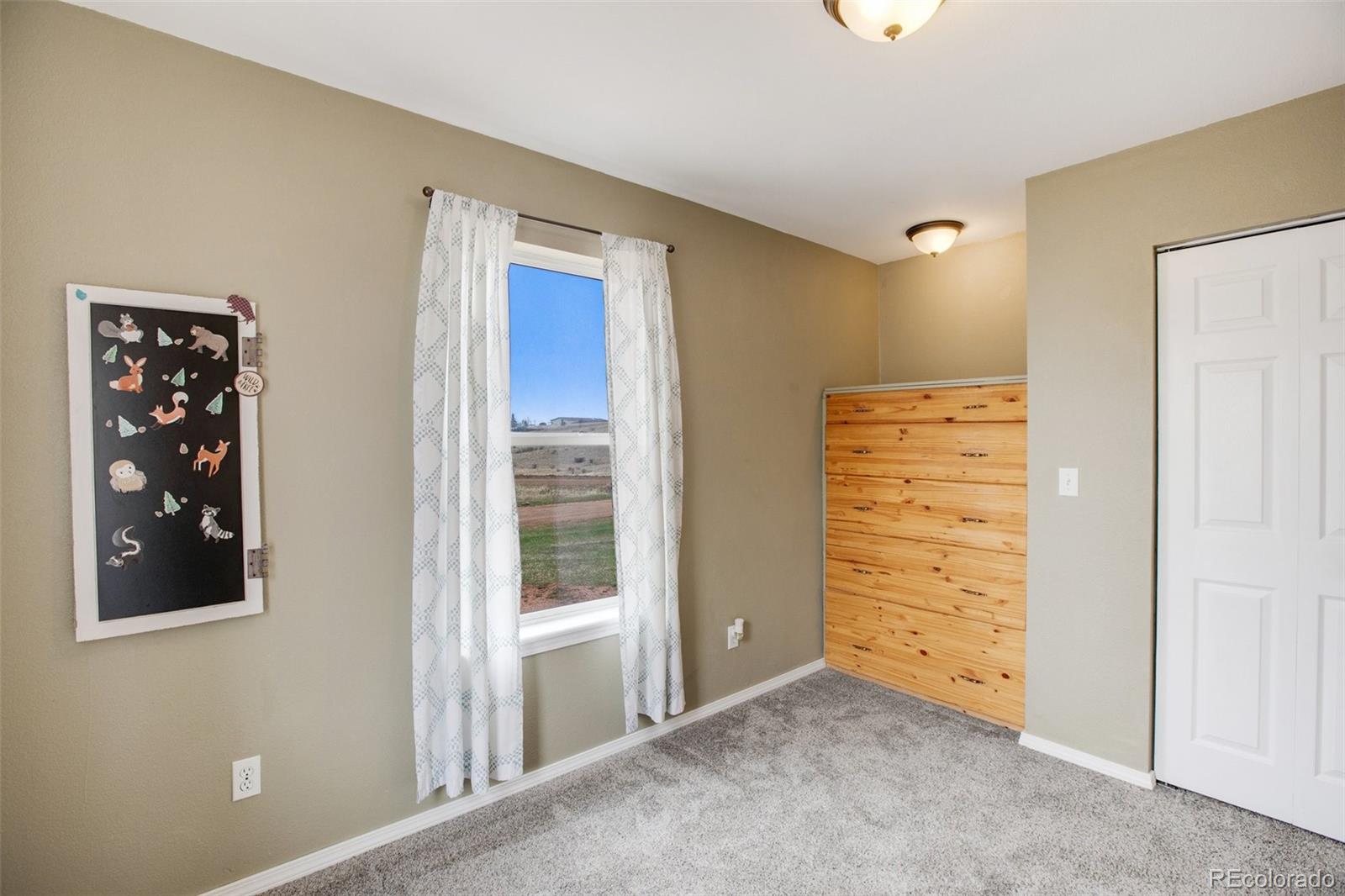 MLS Image #15 for 1222  will scarlet drive,divide, Colorado