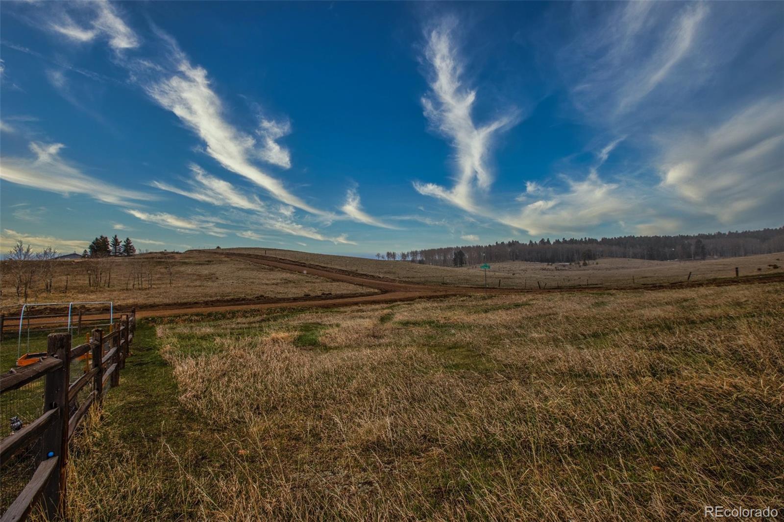 MLS Image #23 for 1222  will scarlet drive,divide, Colorado