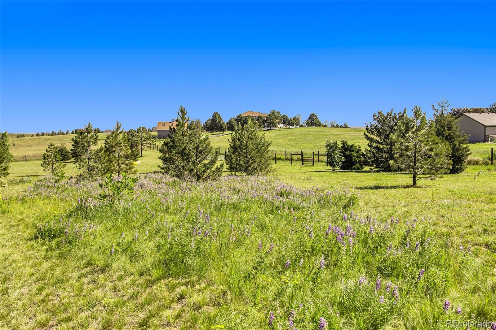 MLS Image #48 for 46496  sunset view way,parker, Colorado