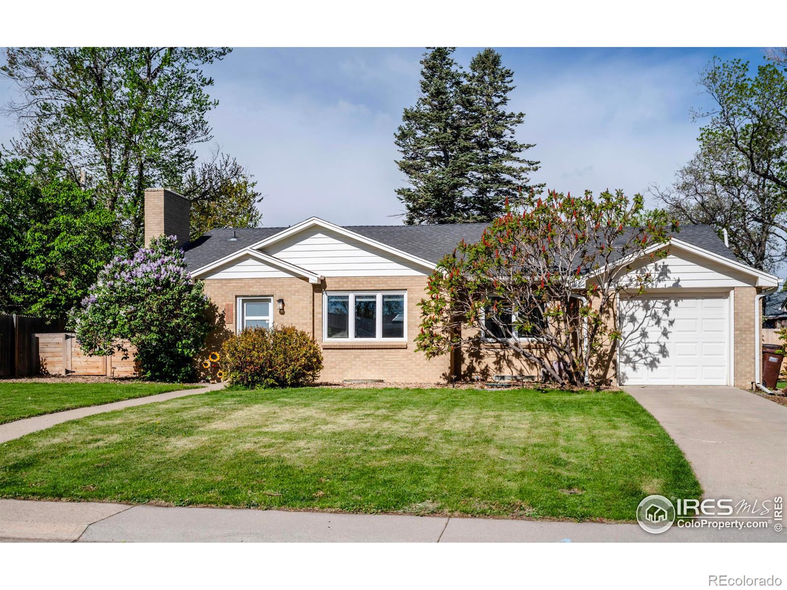 MLS Image #38 for 115  hemlock street,broomfield, Colorado