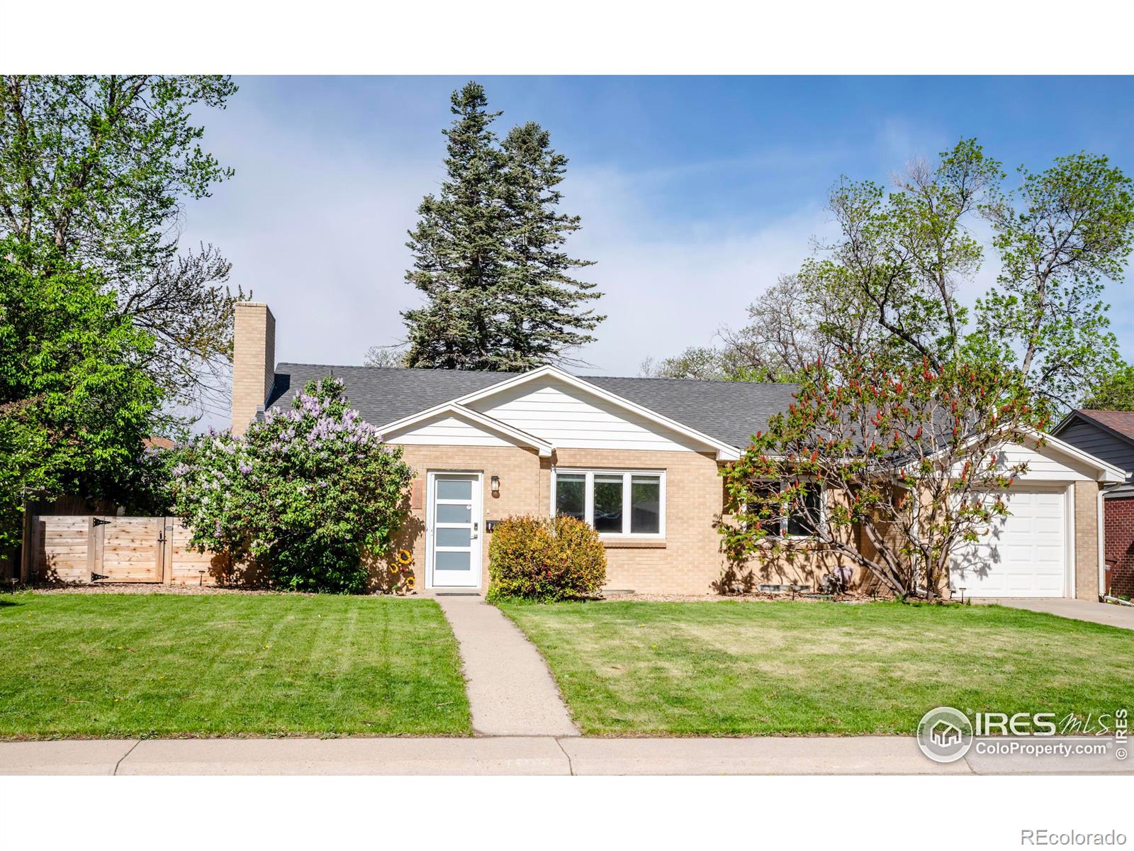 MLS Image #39 for 115  hemlock street,broomfield, Colorado