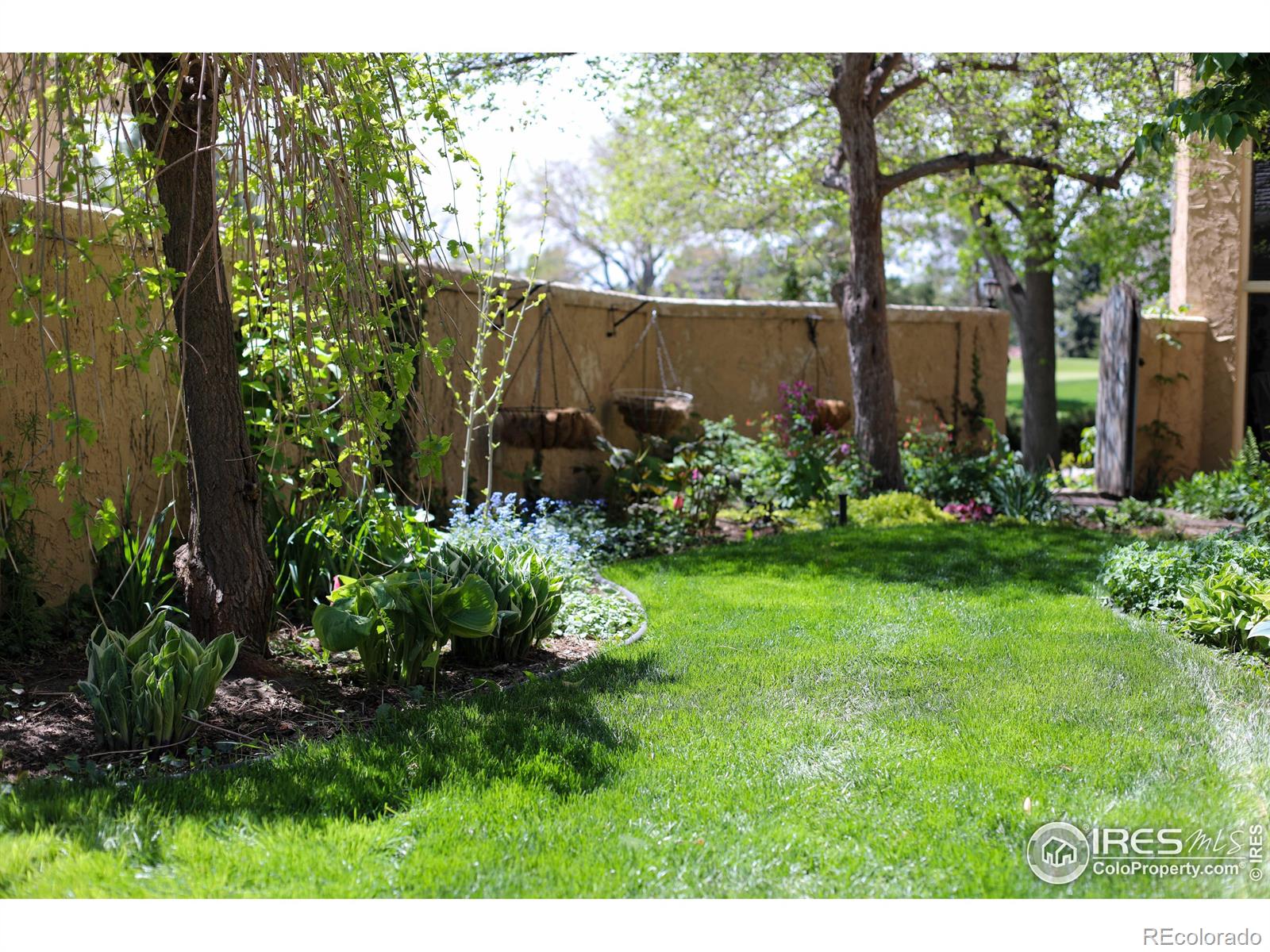 MLS Image #35 for 1125  fox hill drive,longmont, Colorado