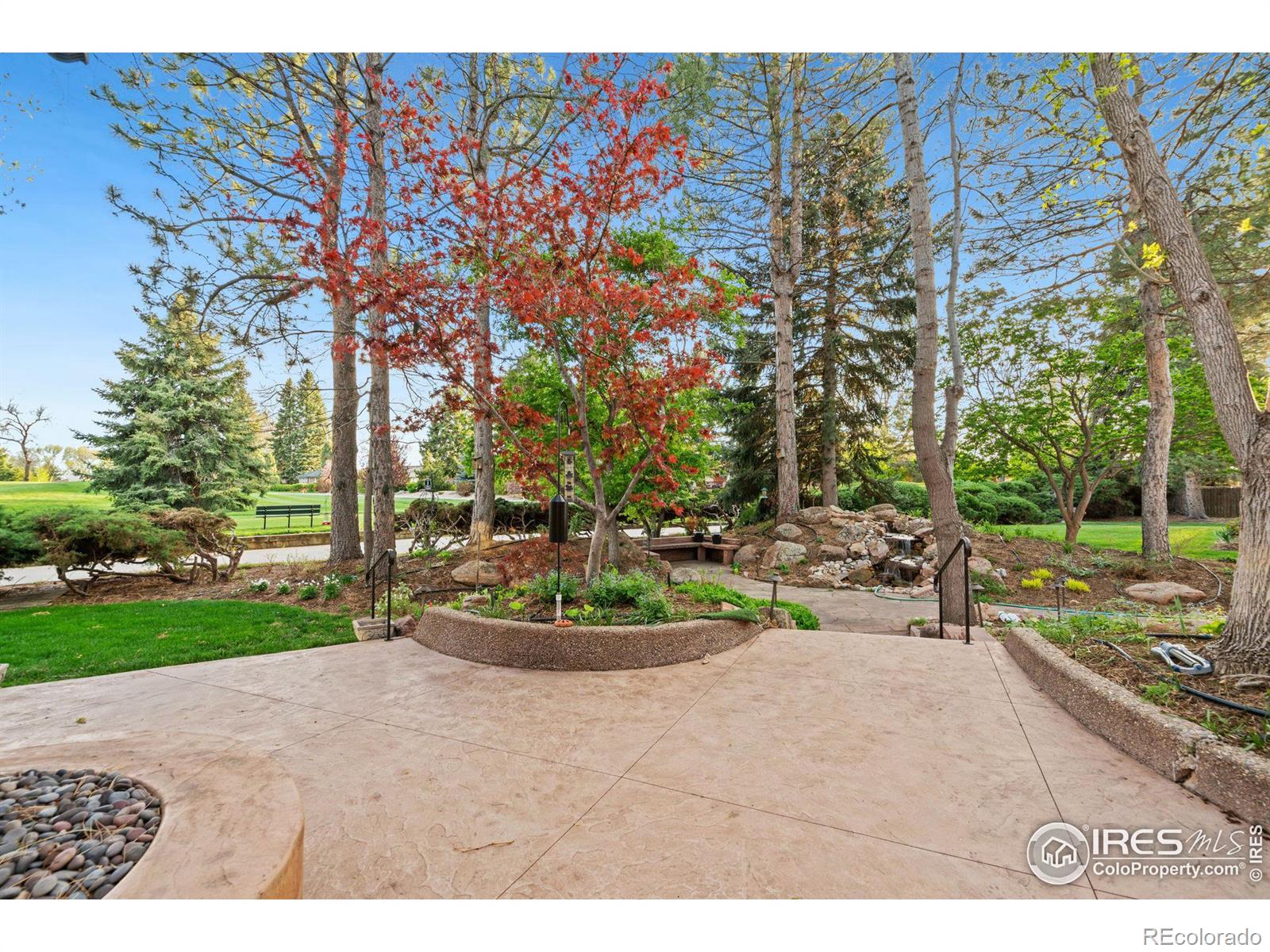 MLS Image #6 for 1125  fox hill drive,longmont, Colorado