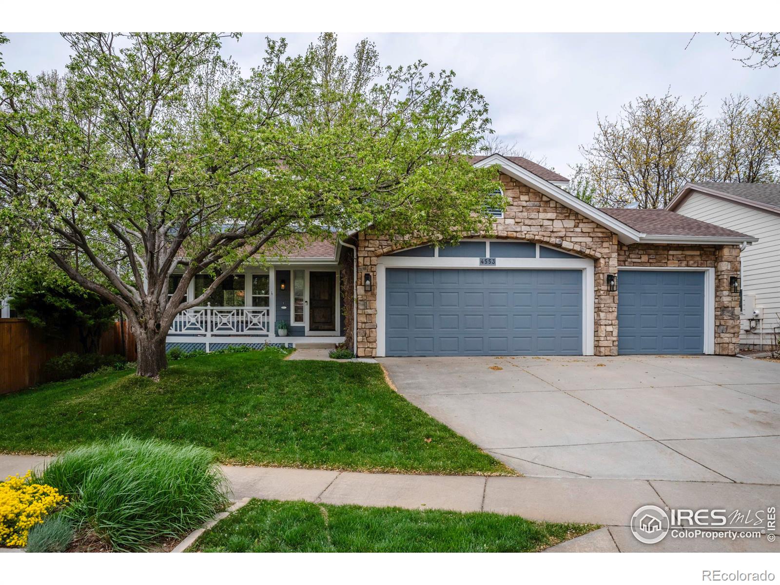 Report Image for 4553  Pussy Willow Court,Boulder, Colorado