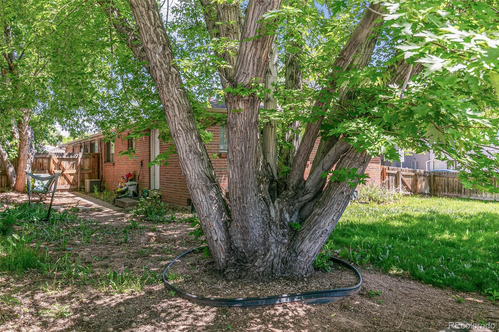 MLS Image #18 for 3805  alcott street,denver, Colorado