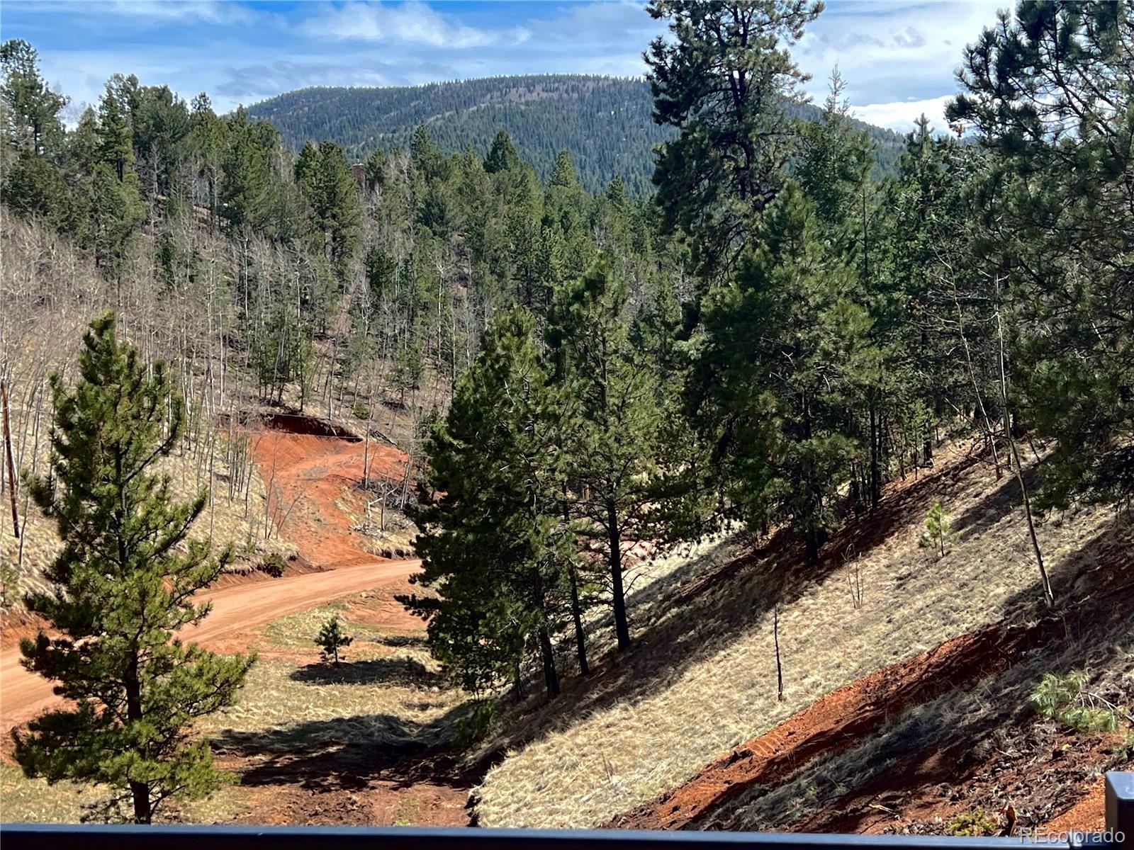 MLS Image #23 for 75  beaver pond road,divide, Colorado